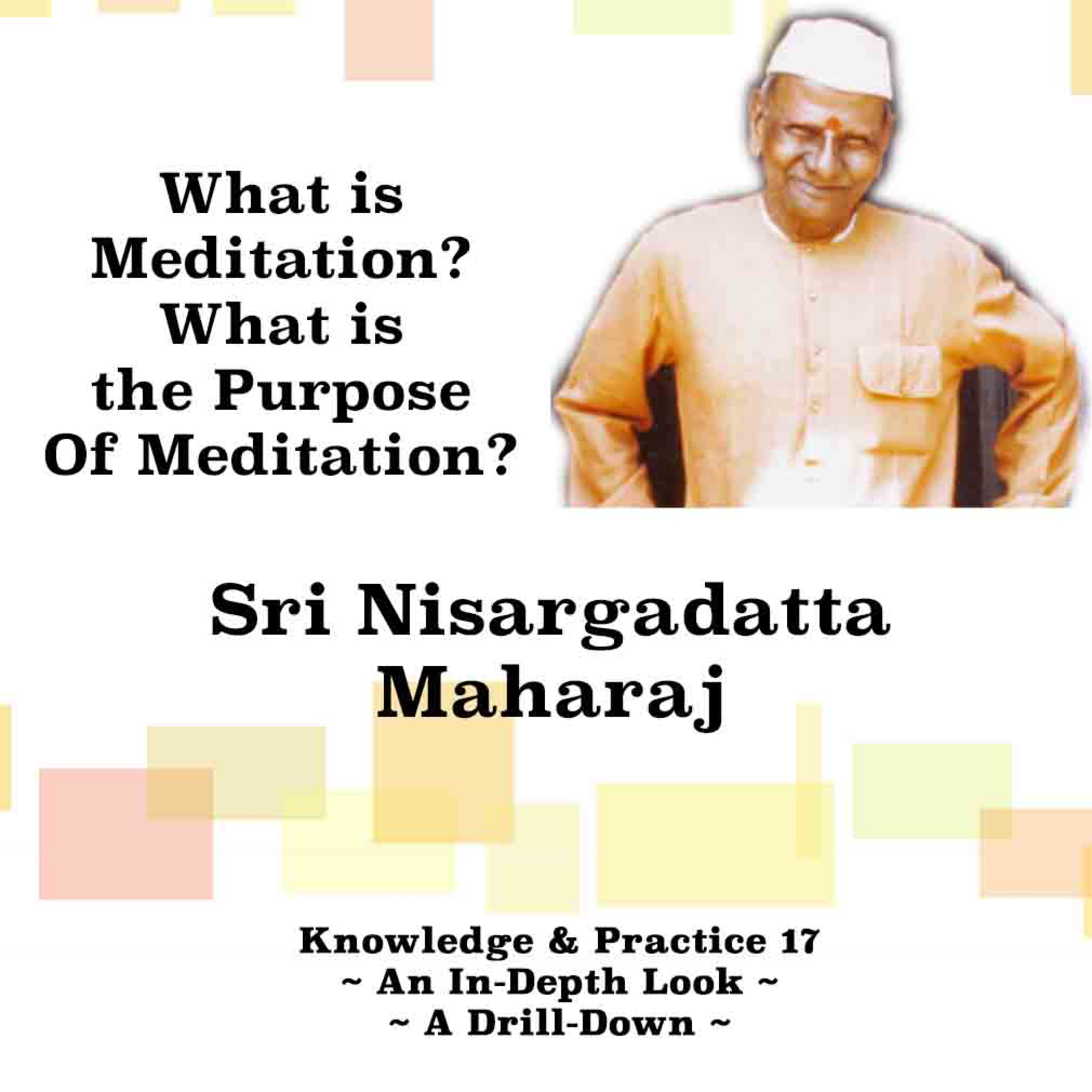 Nisargadatta Maharaj Knowledge & Practice(17) What Is Meditation? What Is The Purpose Of Meditation? episode artwork