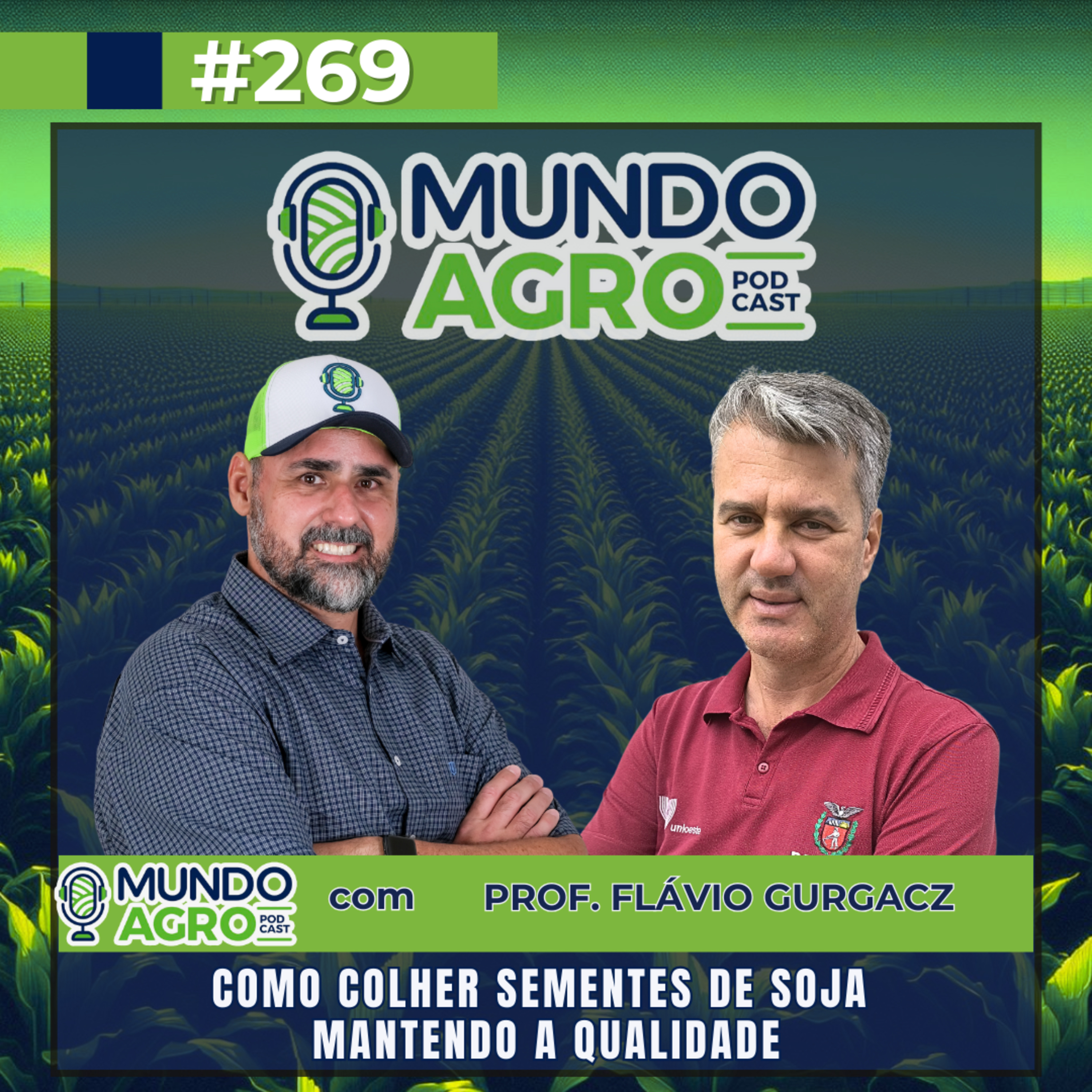 #EP269 MAP Como colher sementes de soja mantendo a qualidade com o Prof. Dr. Flávio Gurgacz episode artwork