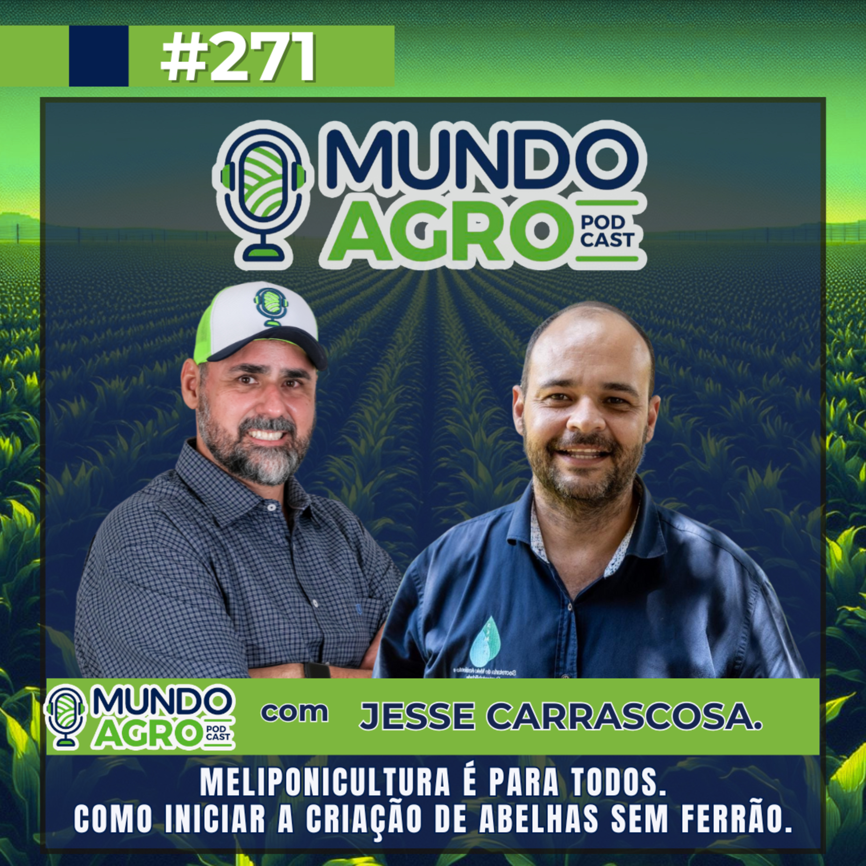#EP271 MAP Meliponicultura é para todos: Como iniciar a criação de Abelhas sem Ferrão com Jesse Carrascosa episode artwork