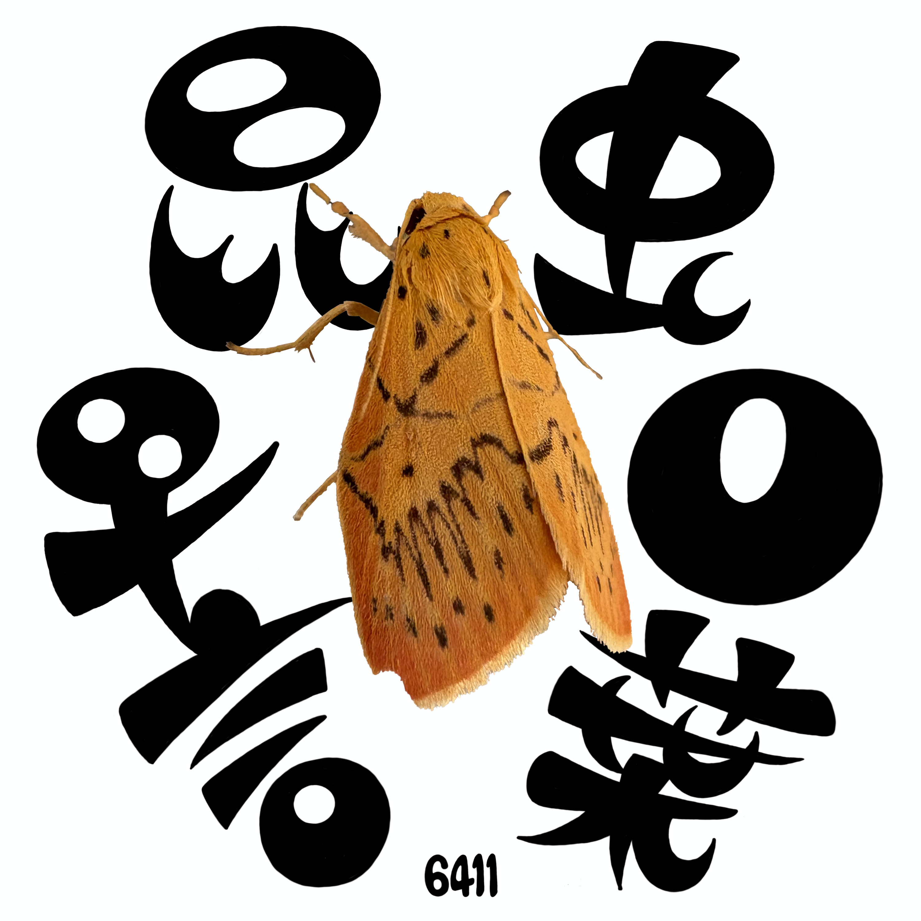 ここコケガこけた崖､コケガ崖