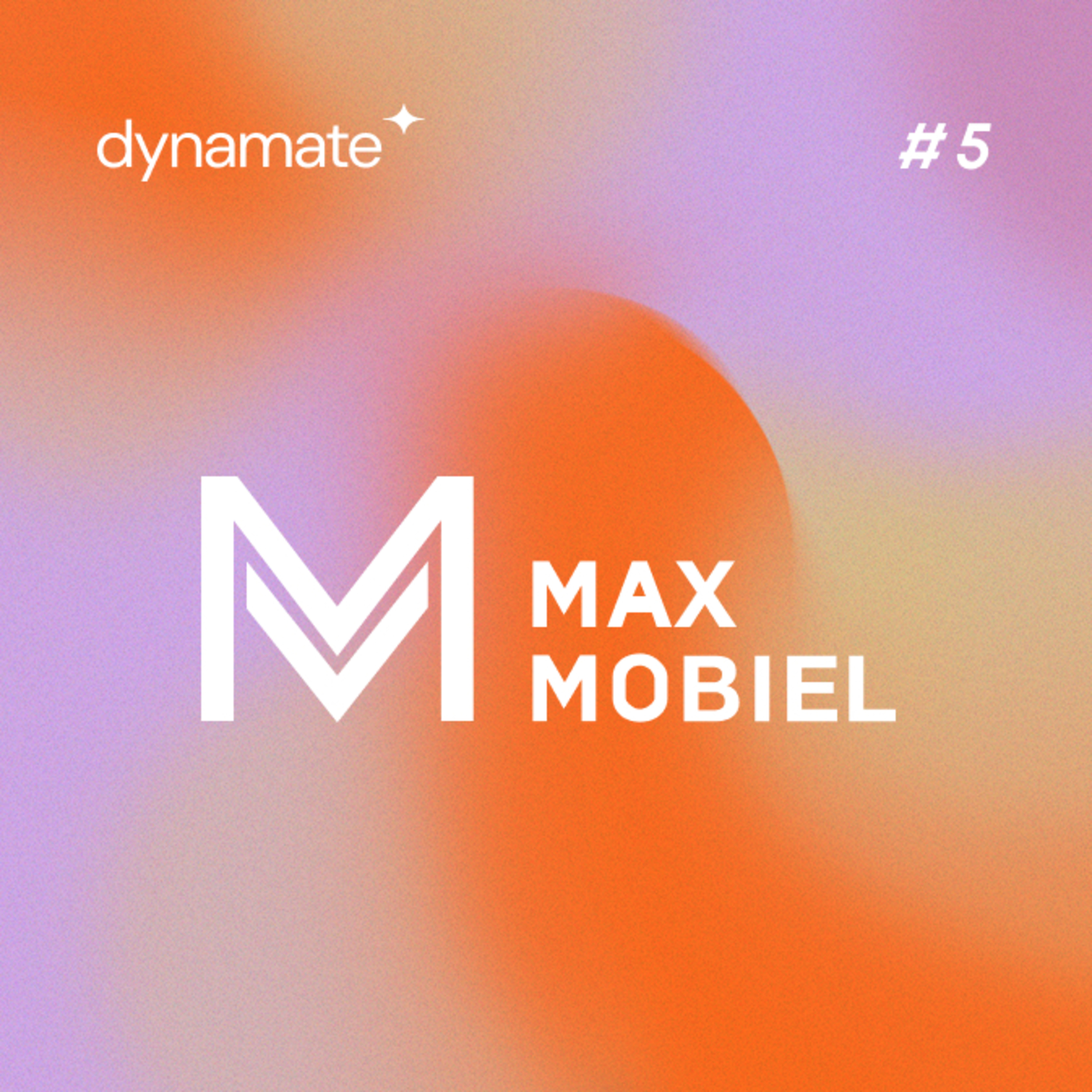 In Digitale Velden by Dynamate