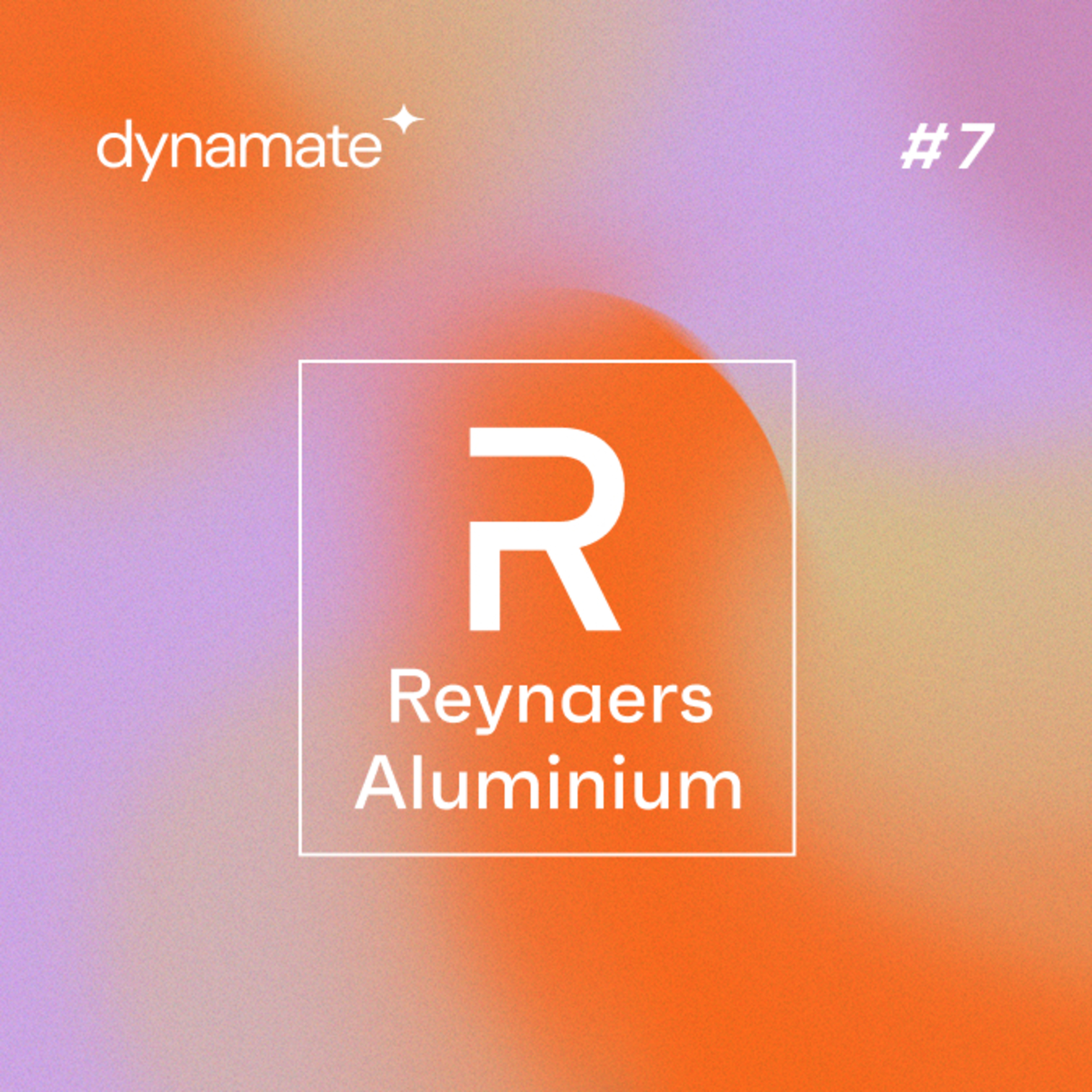 In Digitale Velden by Dynamate