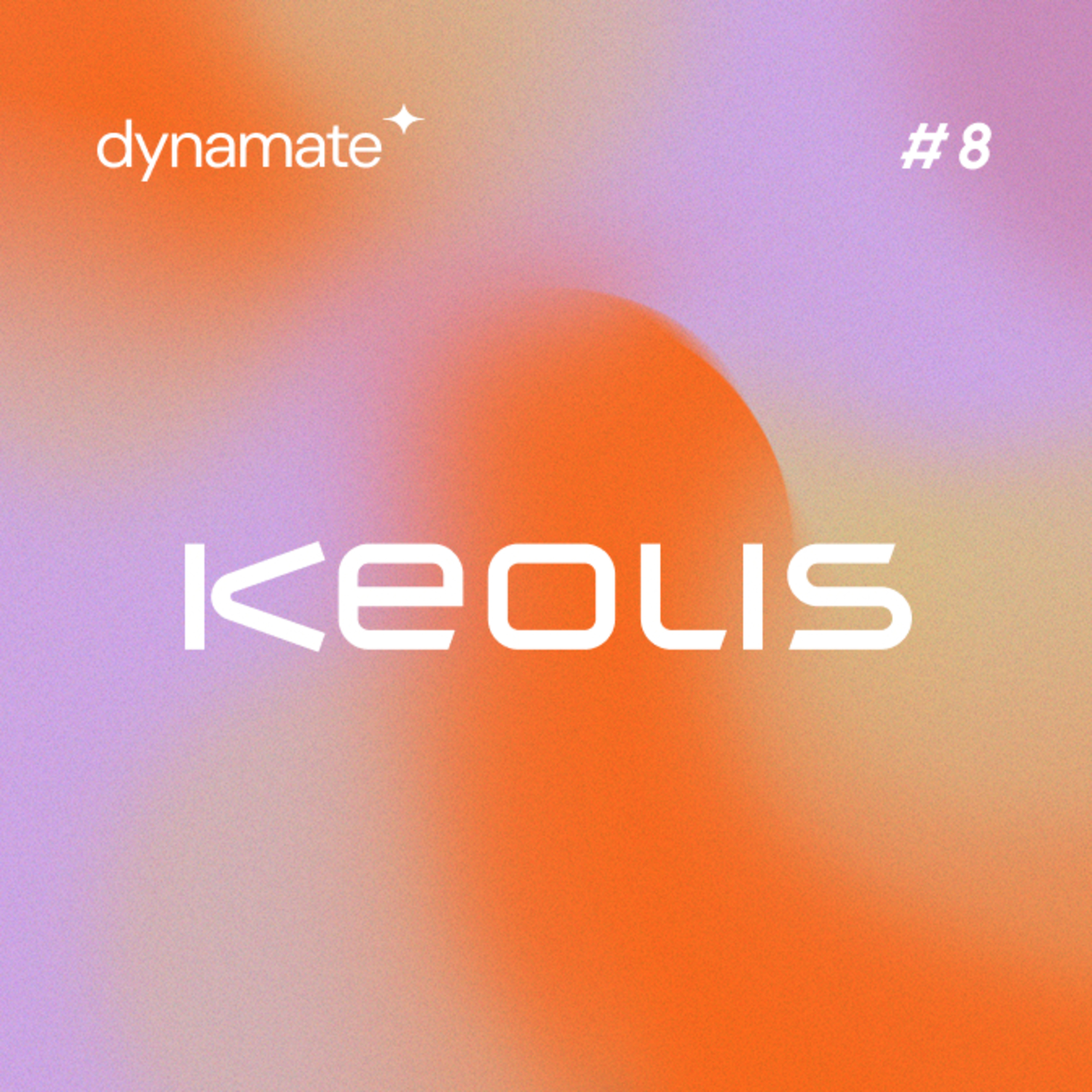 In Digitale Velden by Dynamate