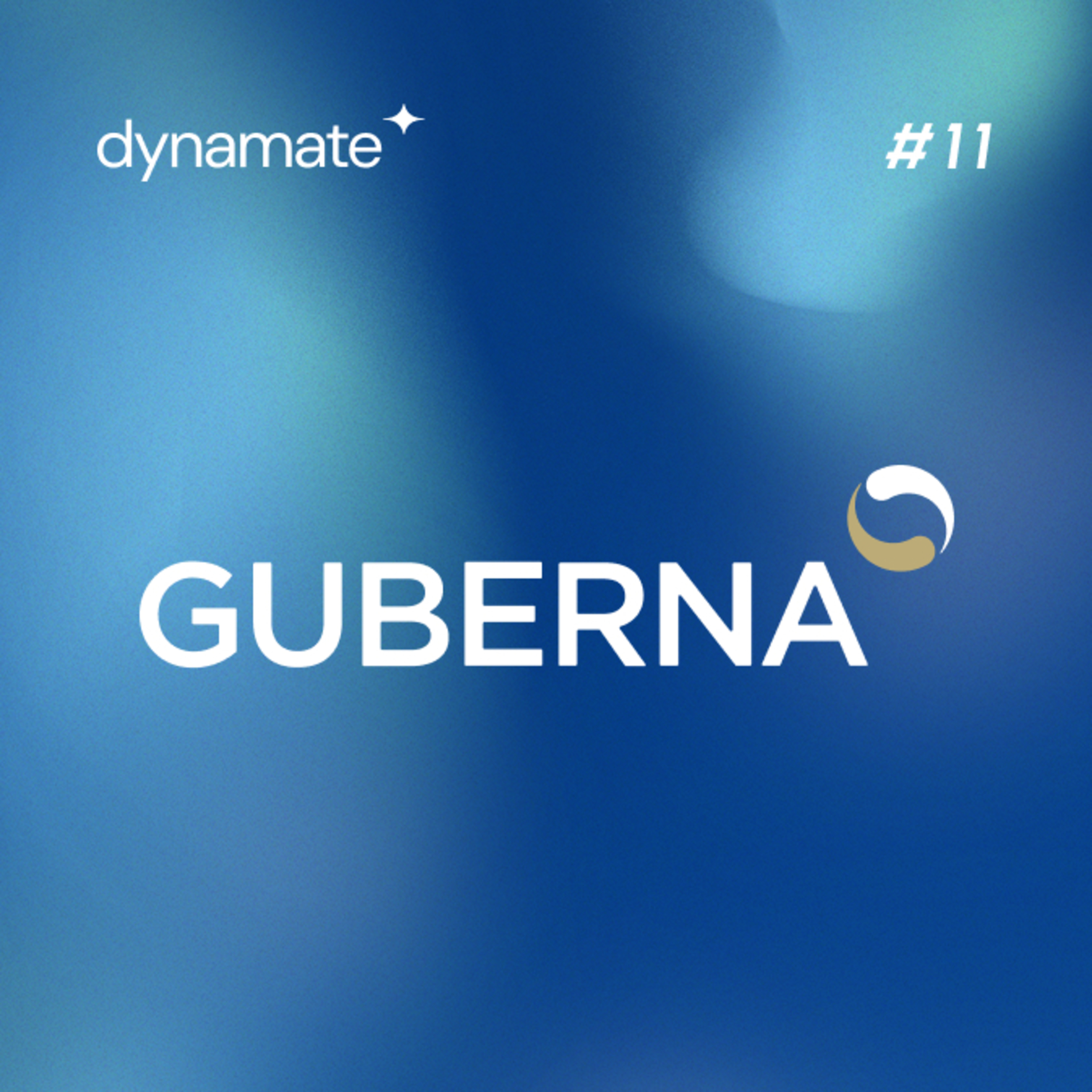 In Digitale Velden by Dynamate