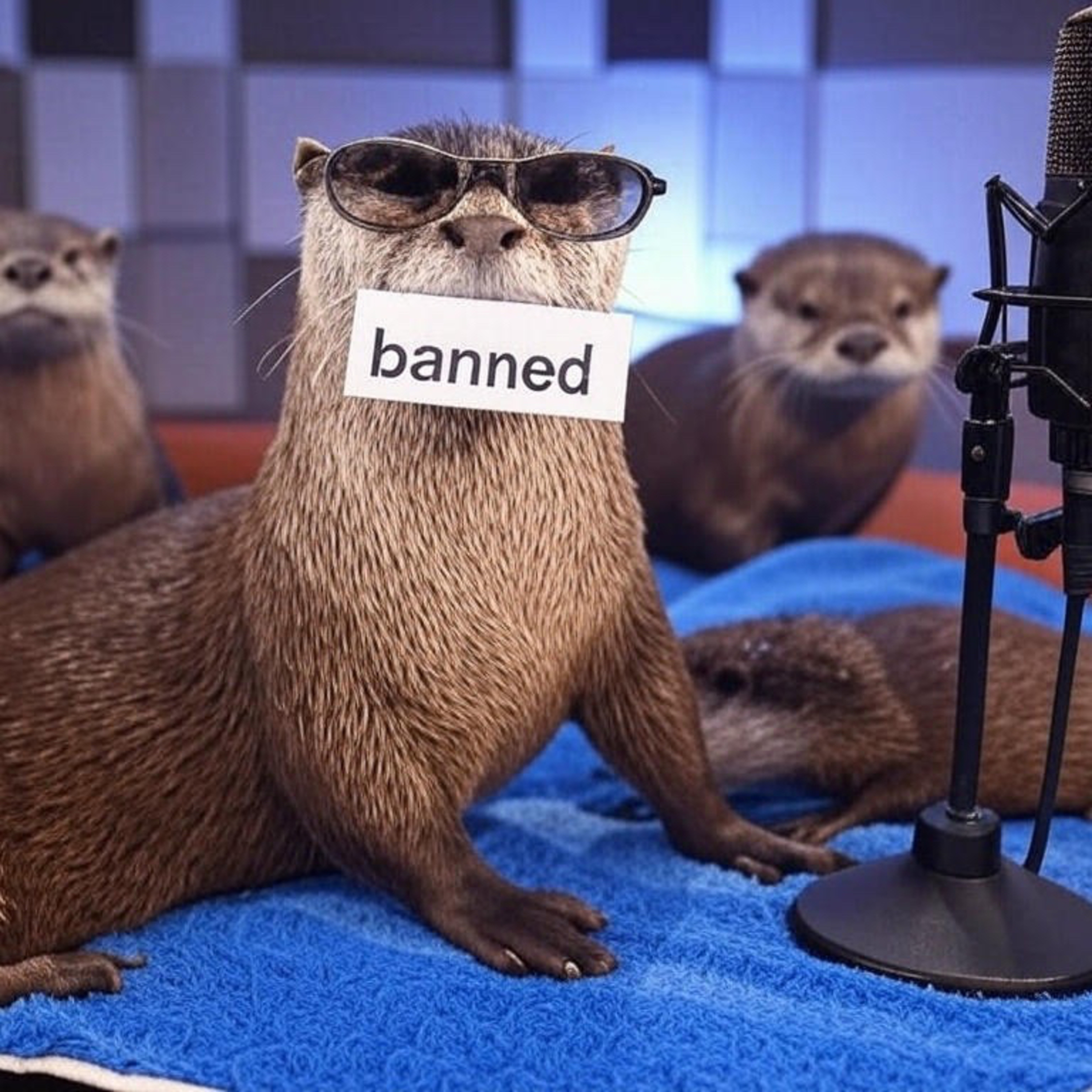 #21 Matt gets banned episode artwork