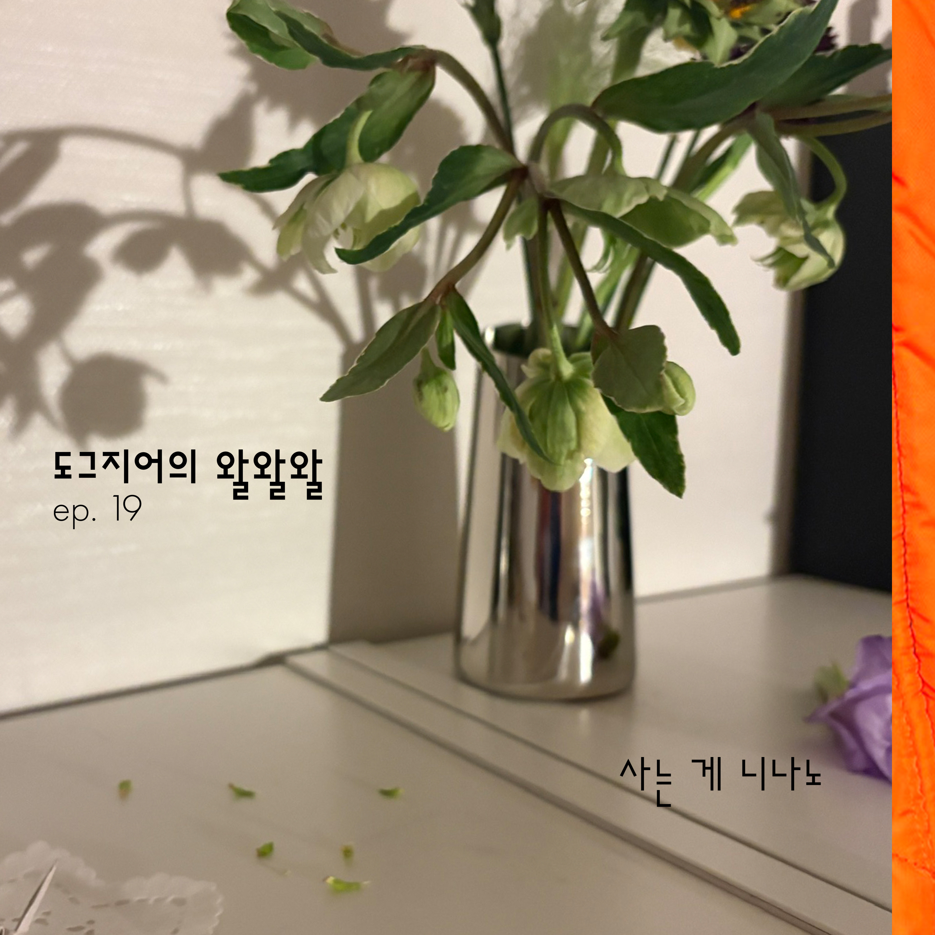 도그지어의 왈왈왈 - episode 19. 사는 게 니나노 episode artwork
