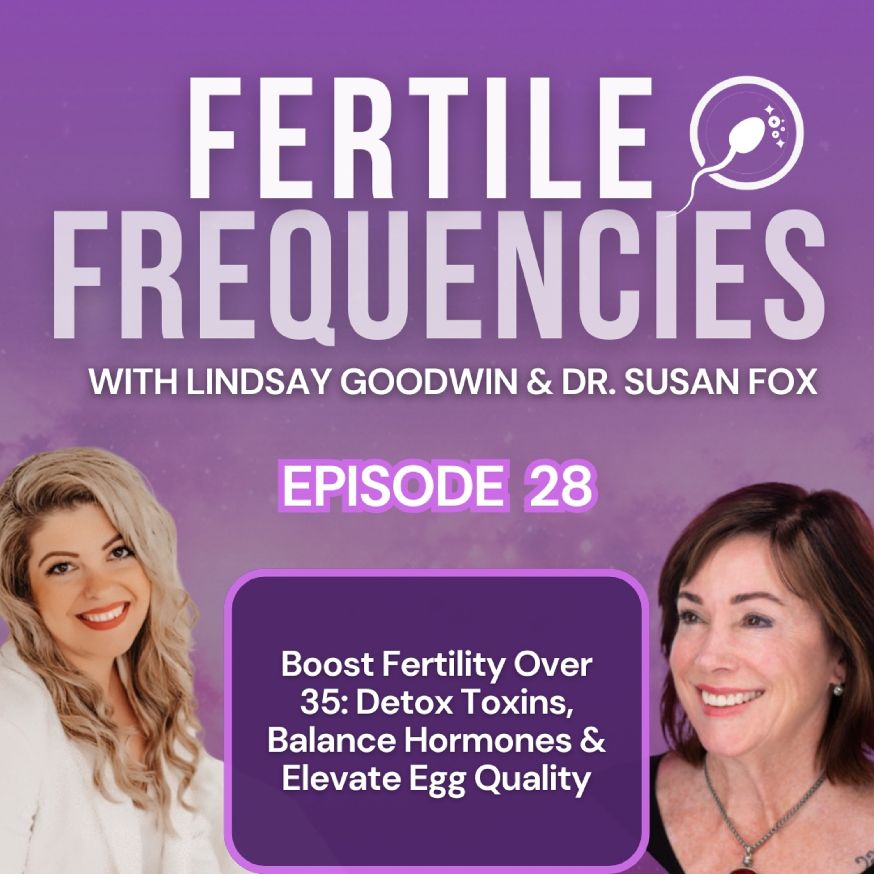 Episode 28: Boost Fertility Over 35: Detox Toxins, Balance Hormones & Elevate Egg Quality w/ Dr. Susan Fox episode artwork