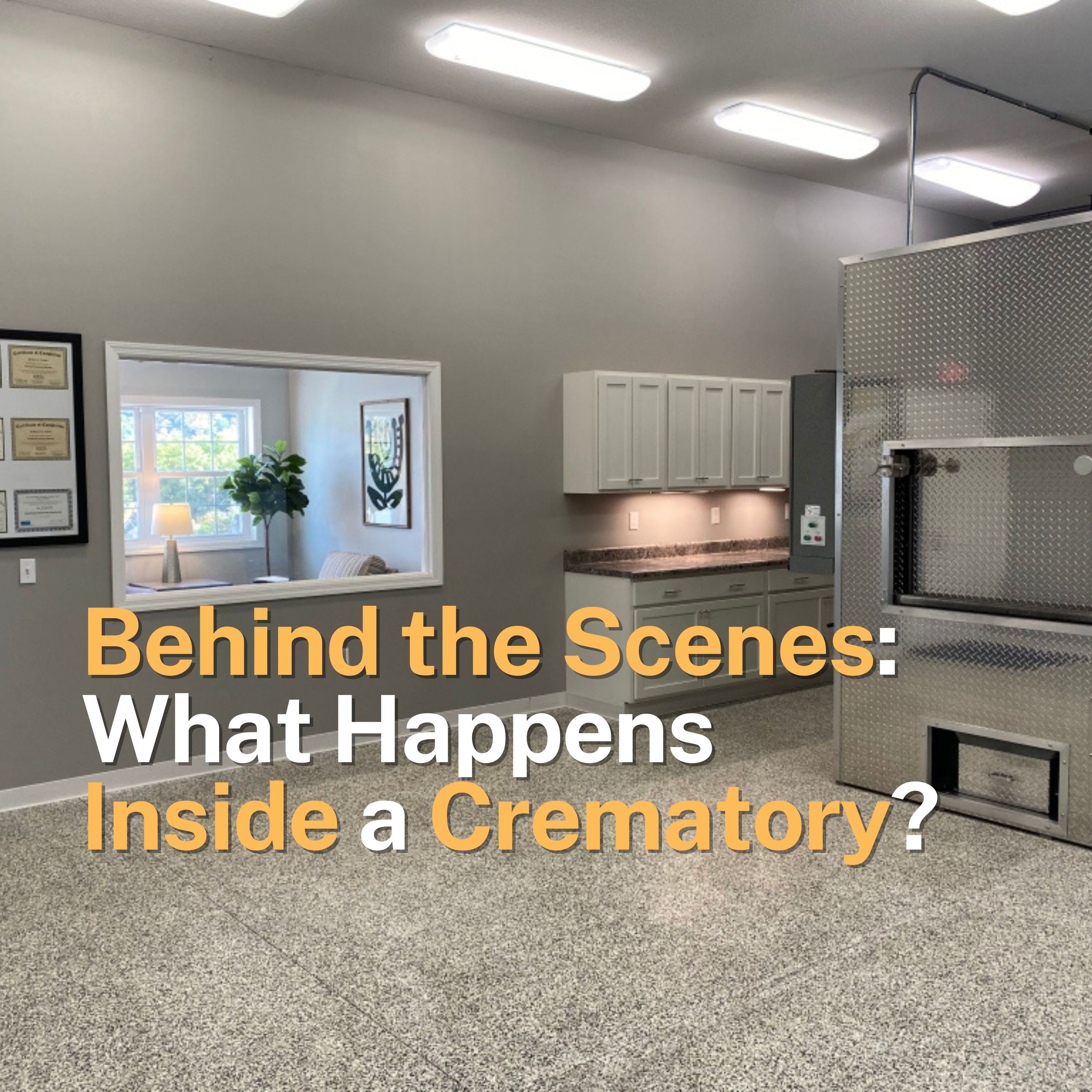 Behind the Scenes: What Happens Inside a Crematory? episode artwork
