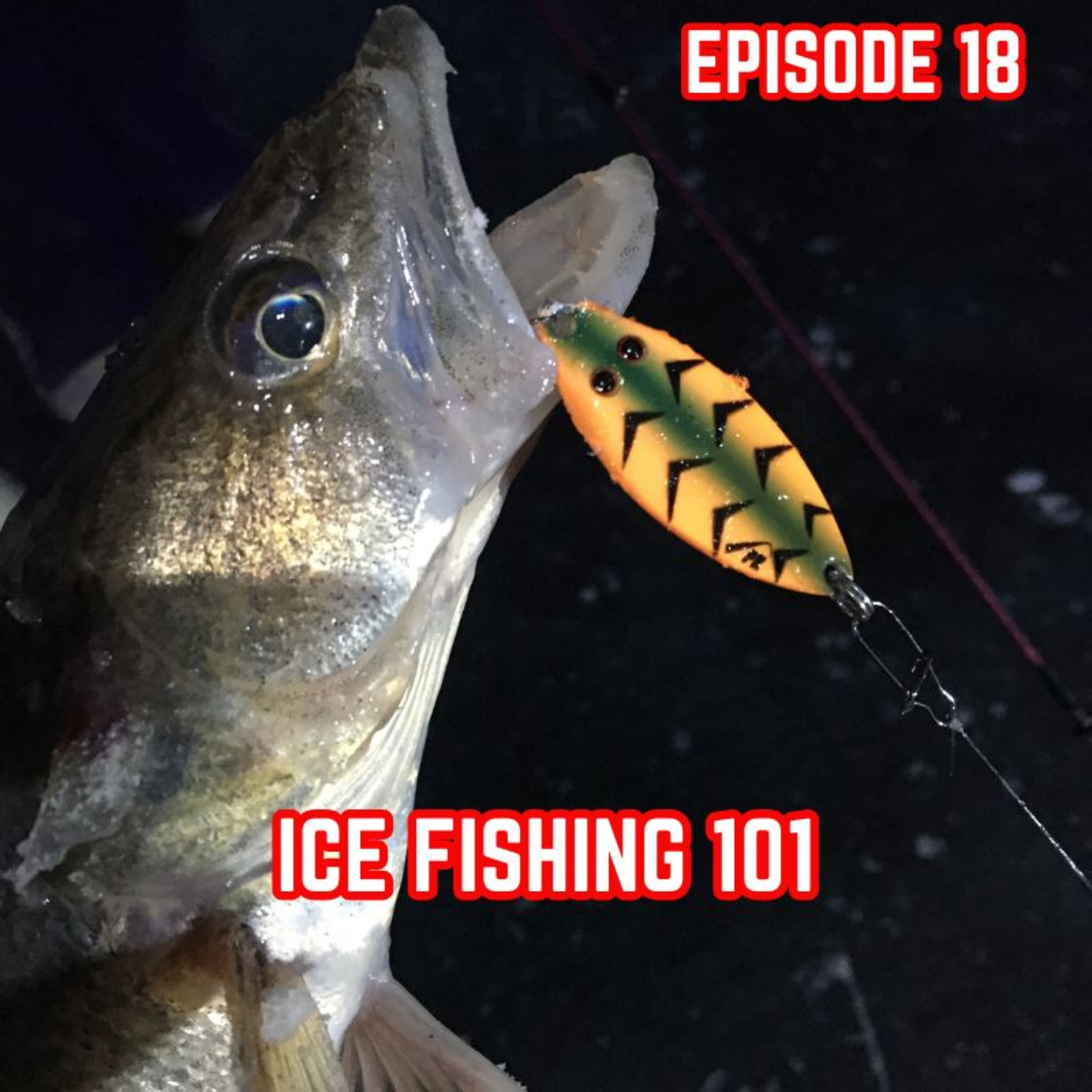 Ice Fishing 101 - How to Get Started Ice Fishing episode artwork