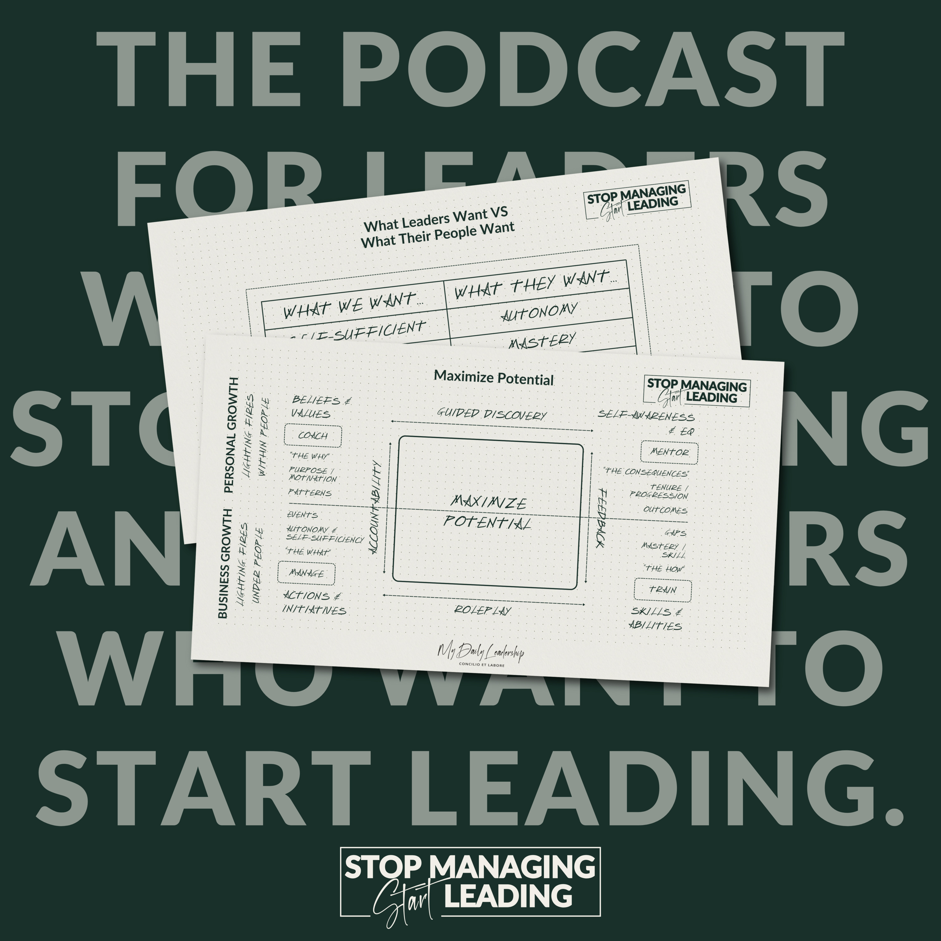 Ep 6: 4 Ways Leaders Support Their Teams | Stop Managing, Start Leading Podcast episode artwork