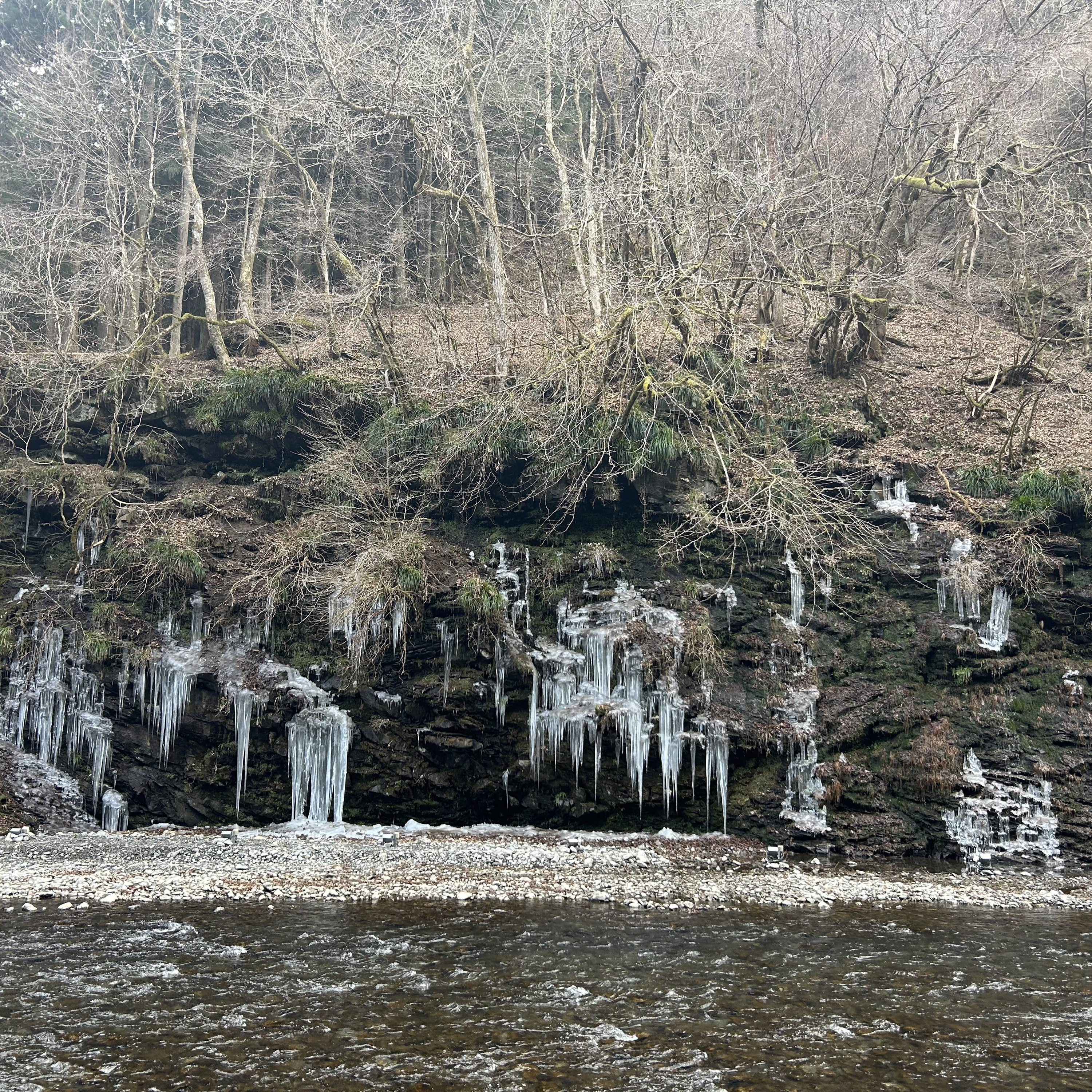 趣の天然、ビッグメガ人工 episode artwork