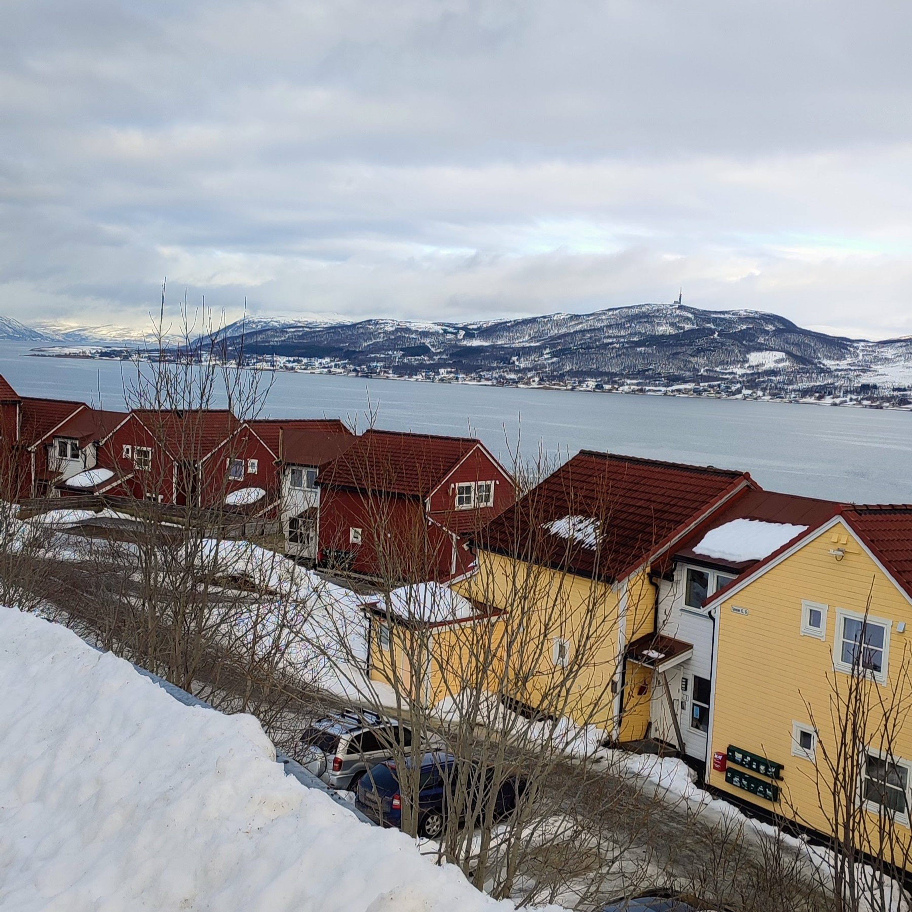 Scandinaventure étudiante