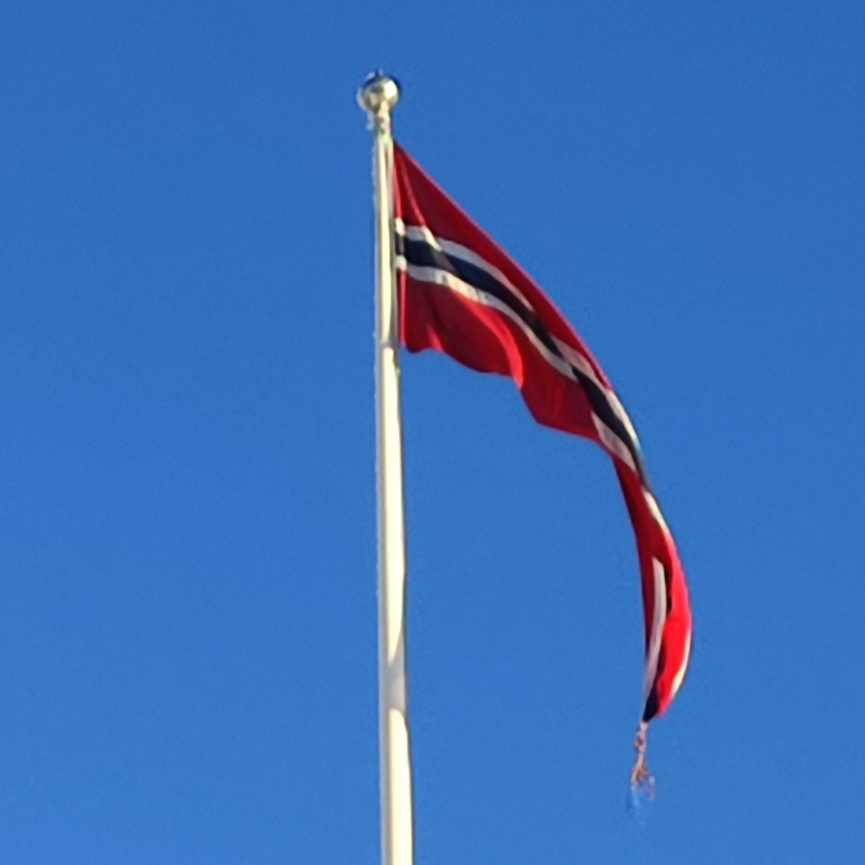 Scandinaventure étudiante