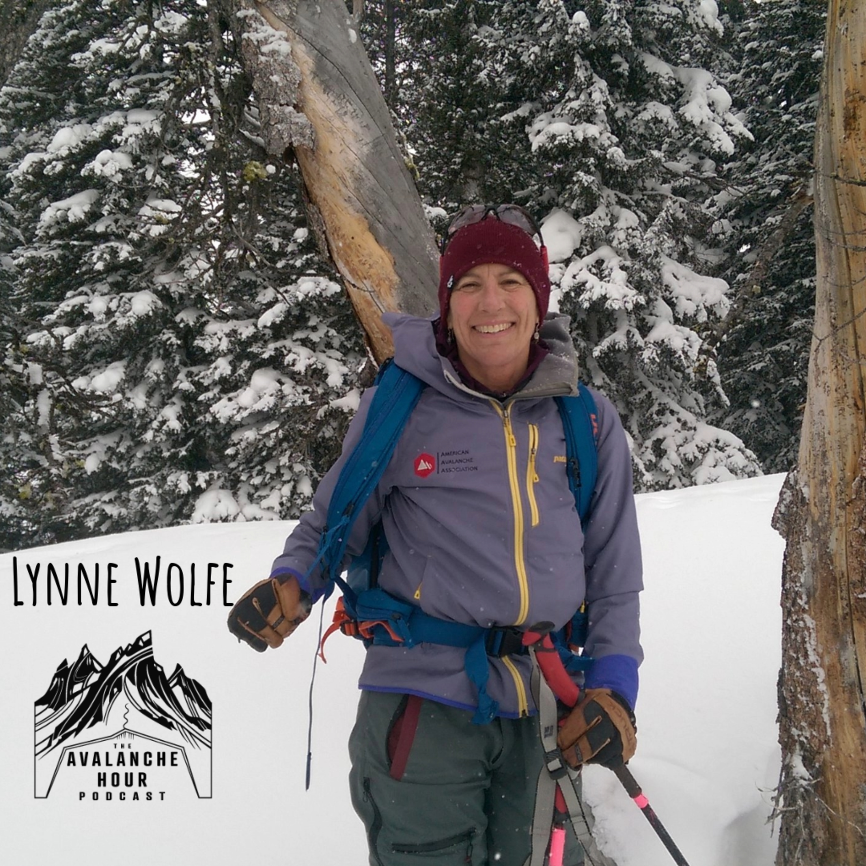 Building on 23 years of TAR with Lynne Wolfe