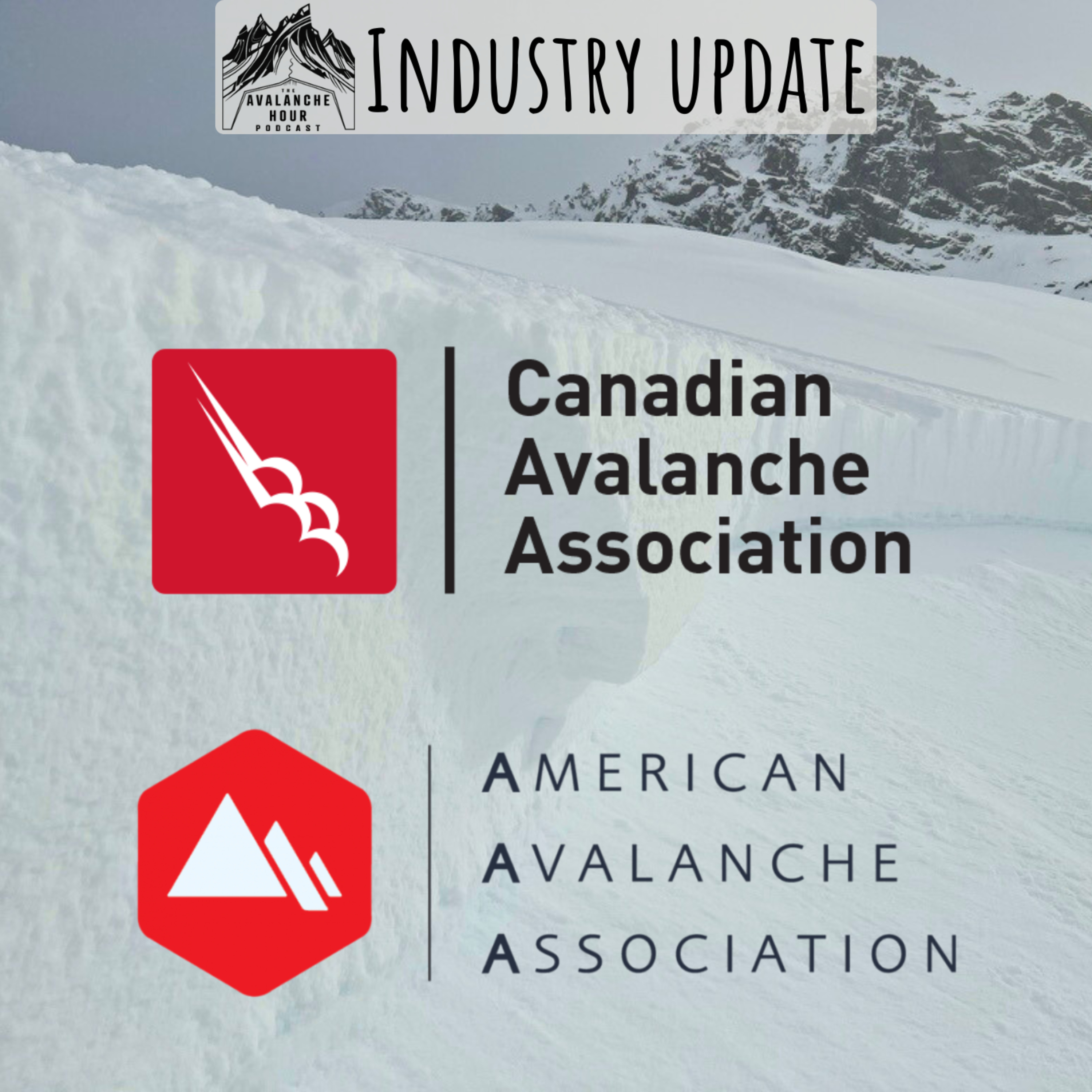 Industry Update with the American Avalanche Association and the Canadian Avalanche Association