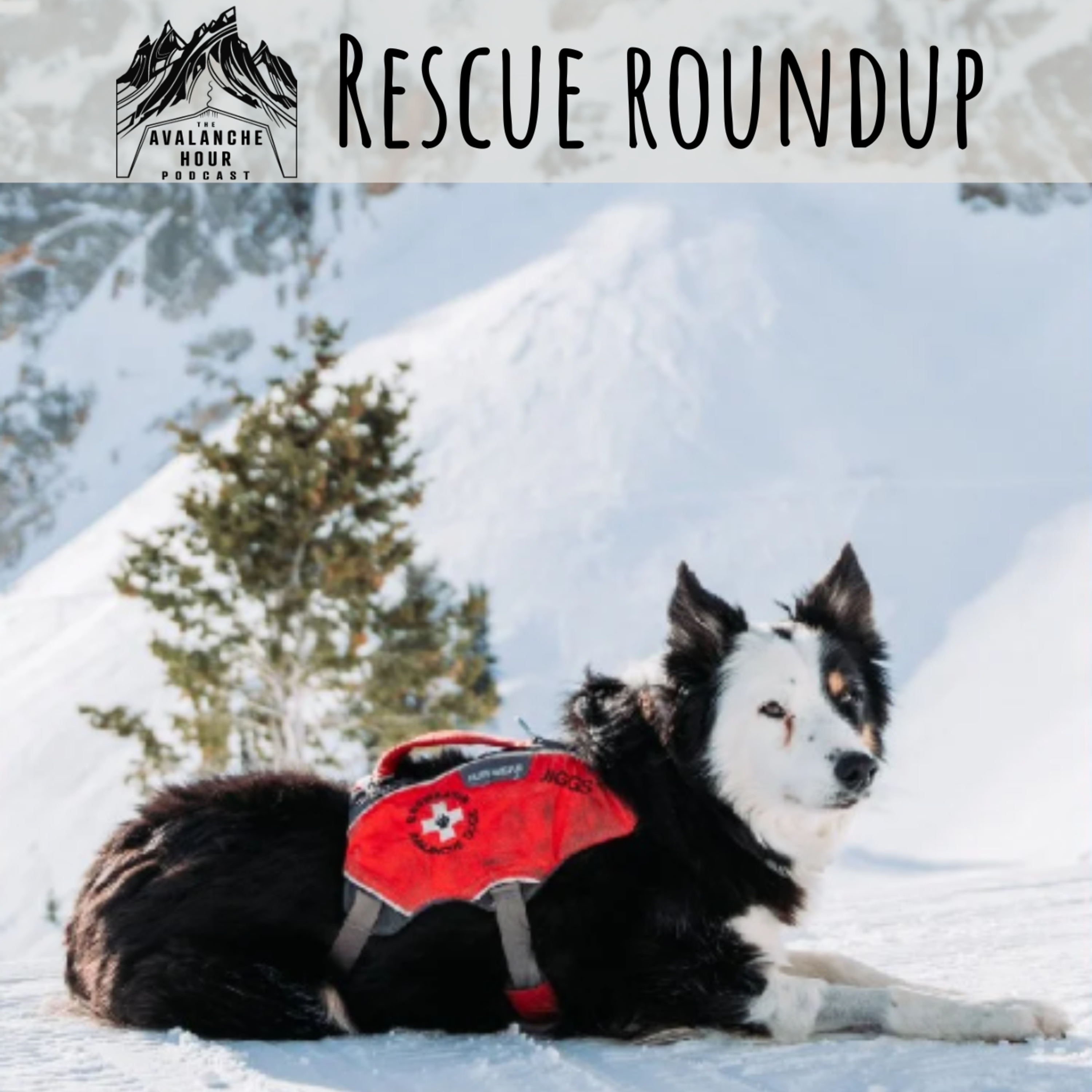 Jake Hutchinson x Rescue Roundup 