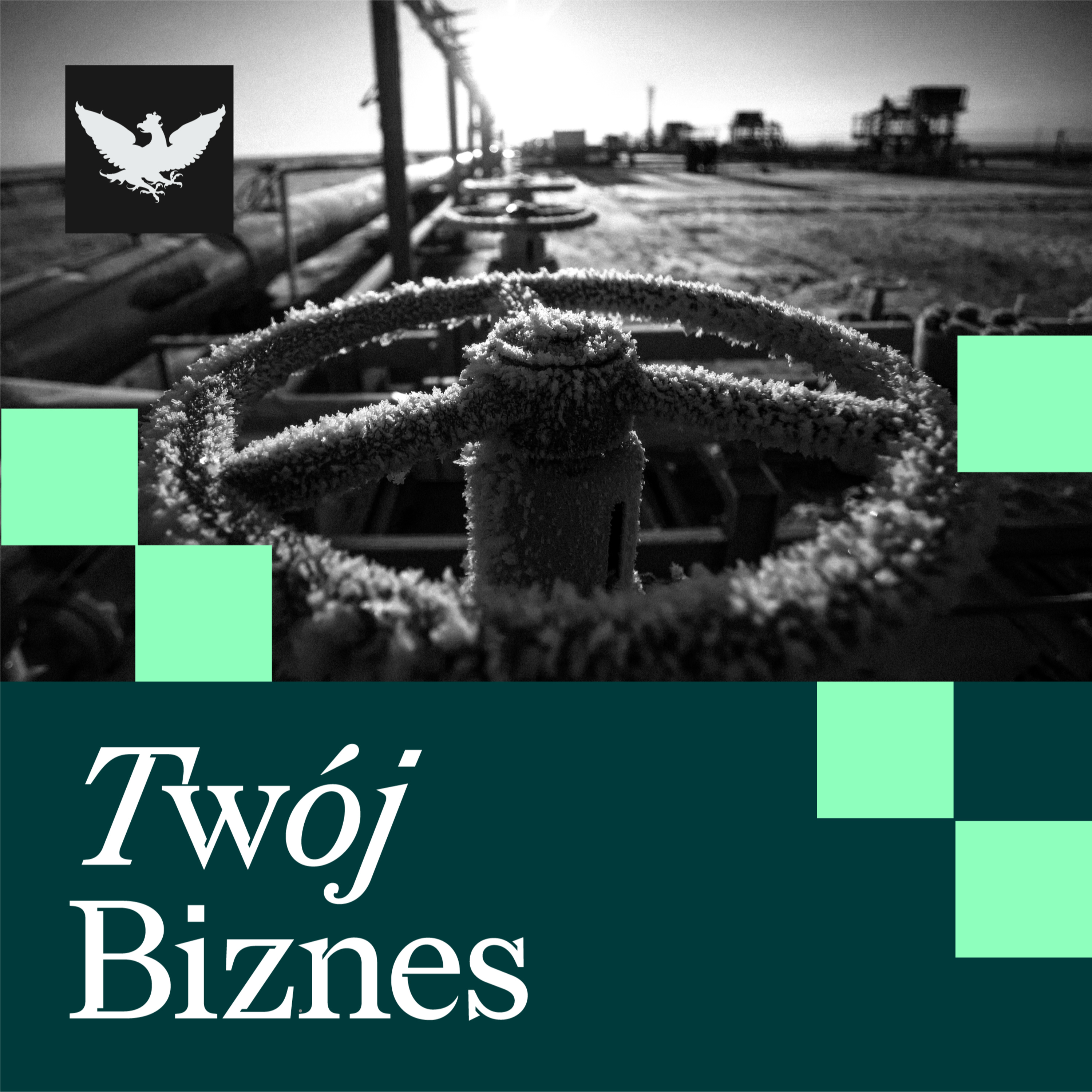 Twój Biznes | UE bez rosyjskiej energii. Zapaść w motoryzacji. Weto ws. składki zdrowotnej