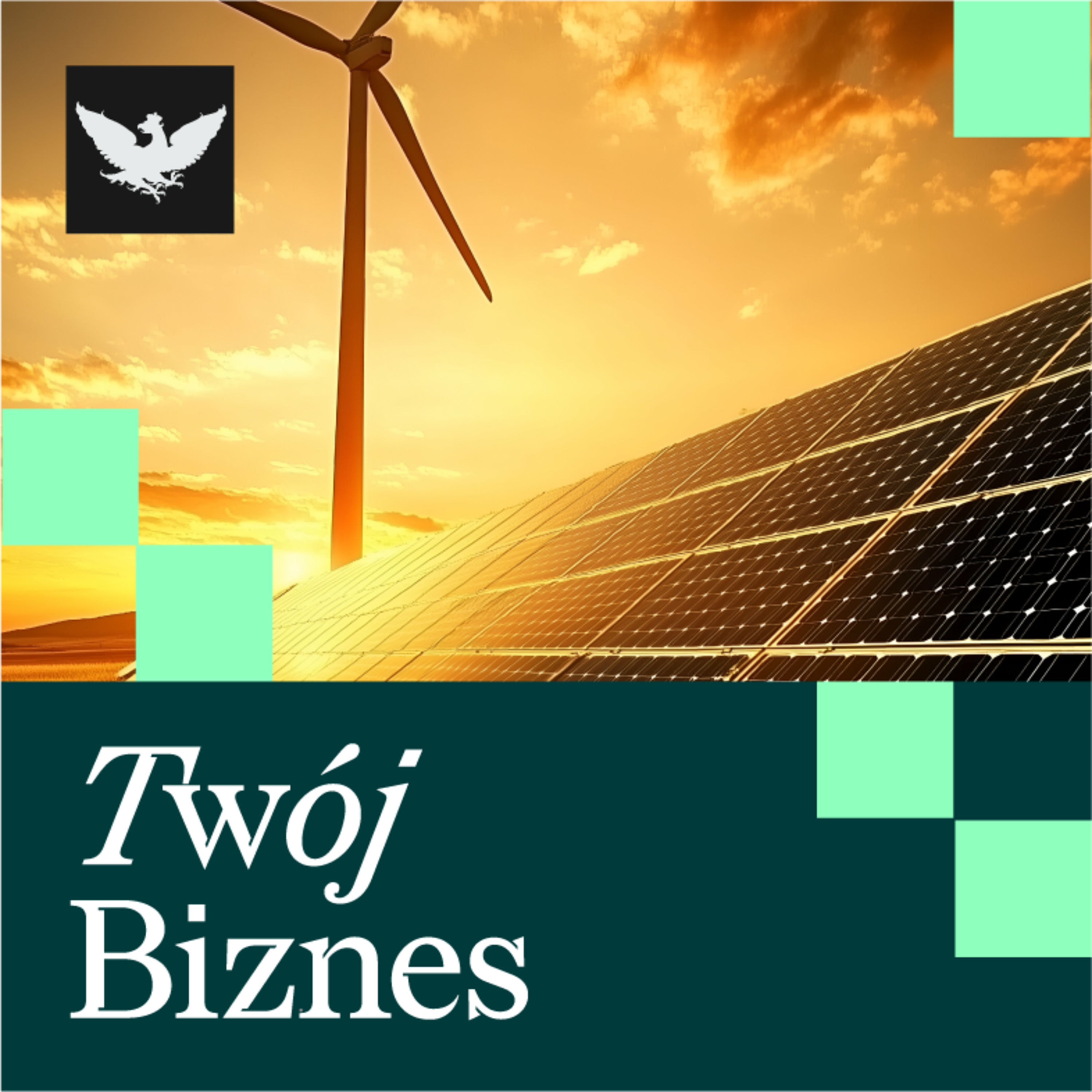 Twój Biznes | Za dużo OZE w Polsce? Zakaz rosyjskiego gazu. Sukces Airbusa na Airshow w Paryżu