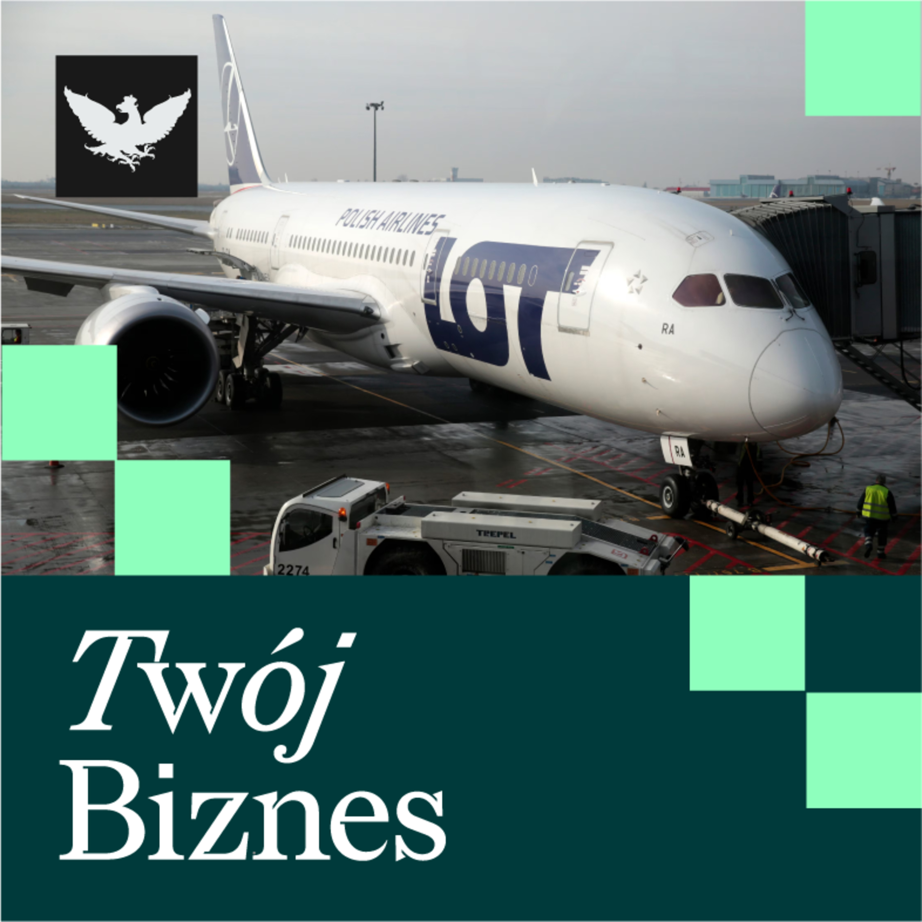 Twój Biznes | Rekord pasażerów na polskich lotniskach, Patrioty z Holandii i zadyszka Bitcoina