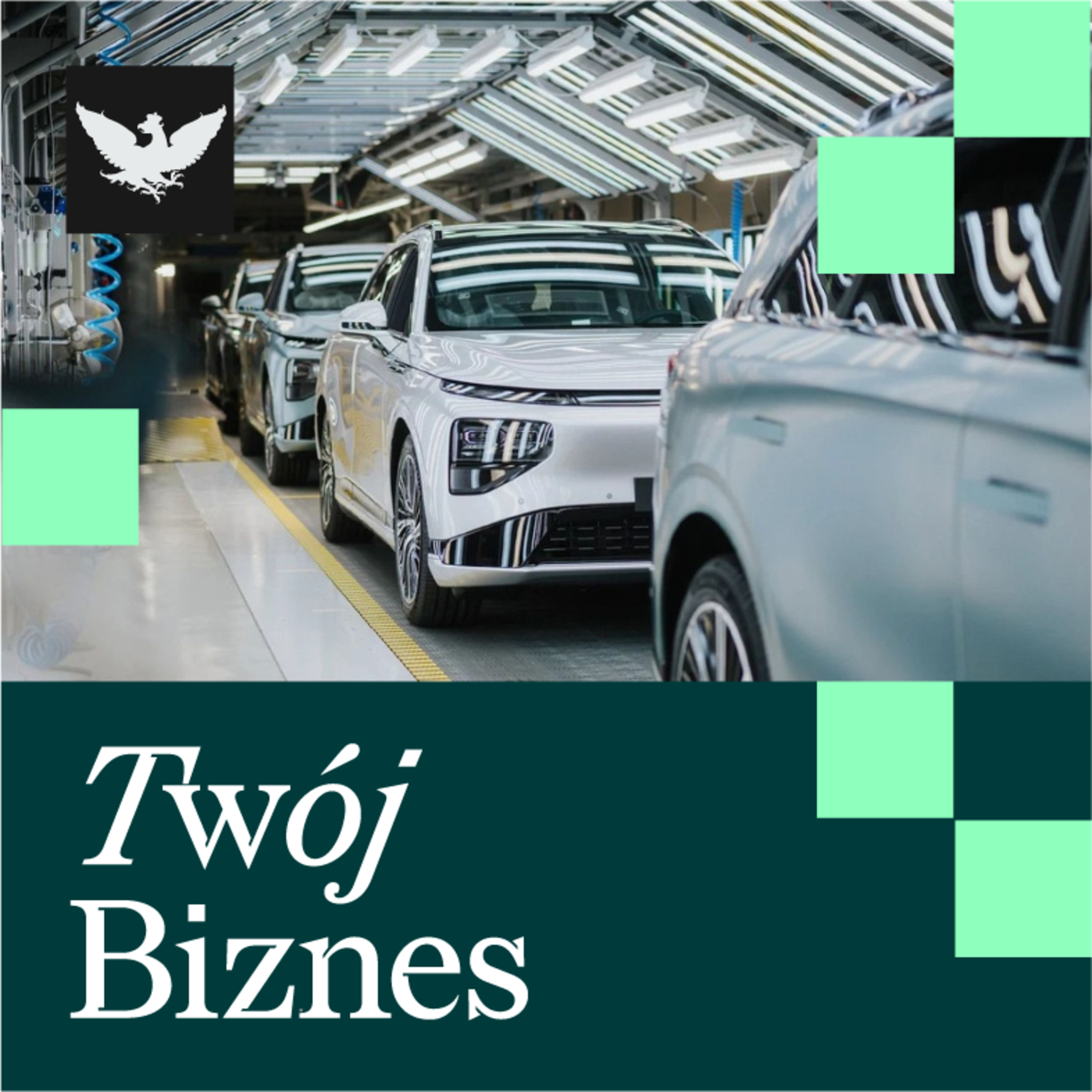 Twój Biznes | Chińskie auta szturmują Polskę, mniej rosyjskiej ropy i tańszy prąd w Niemczech