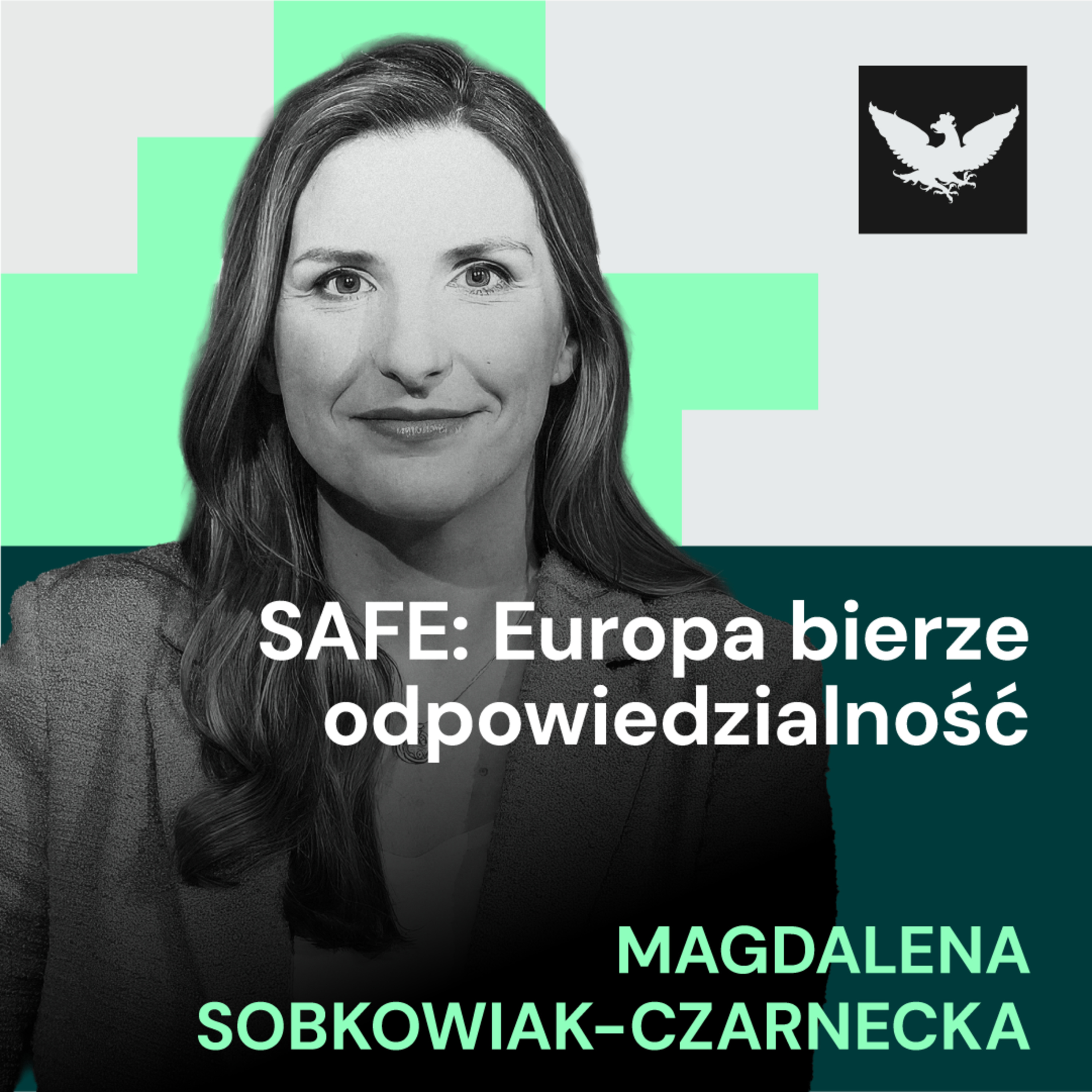 Radar Bezpieczeństwa | Magdalena Sobkowiak-Czarnecka: Weto oznacza okrojenie SAFE