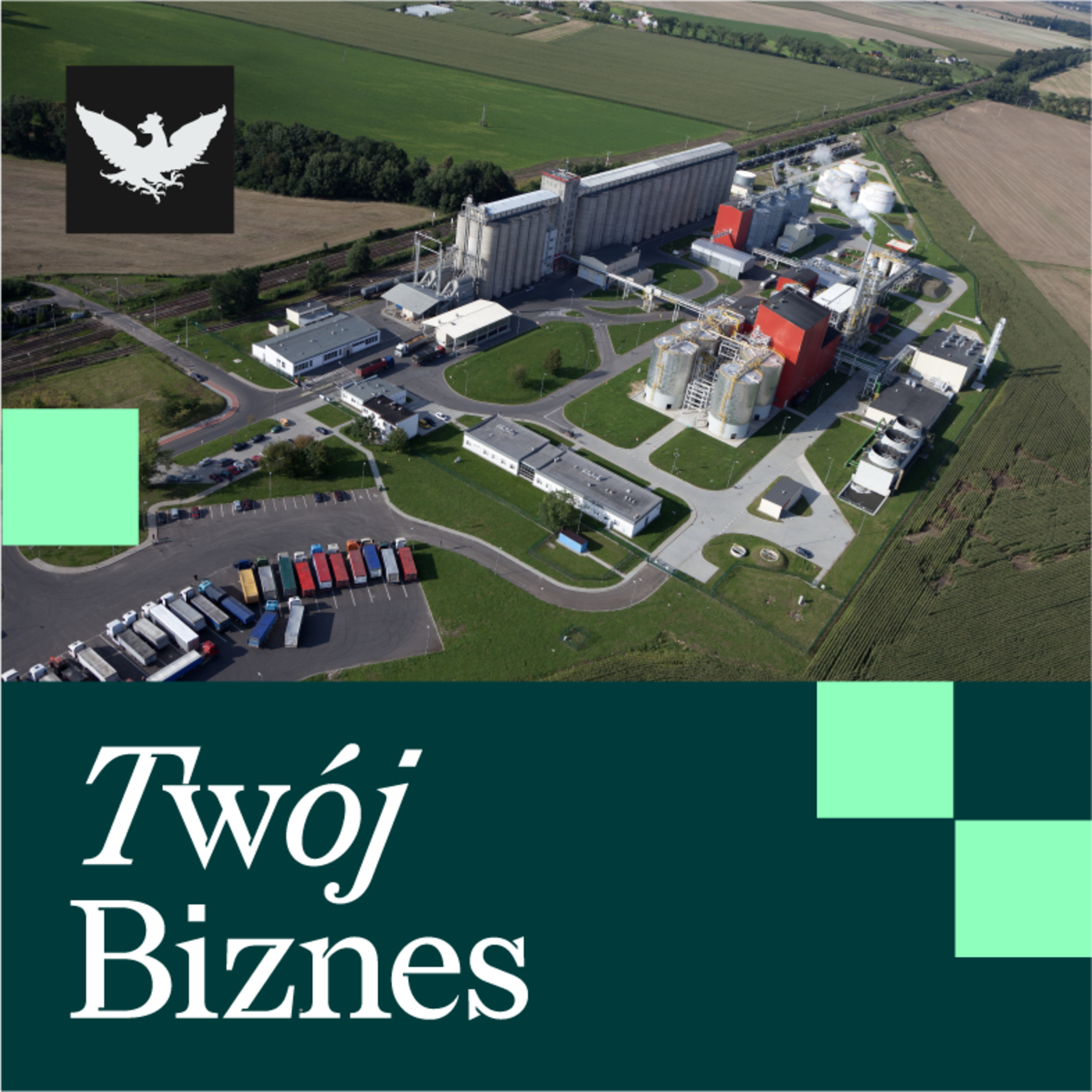 Twój Biznes | Koszty nadużywania alkoholu, kryzys AGD i wizyta Merza w Chinach