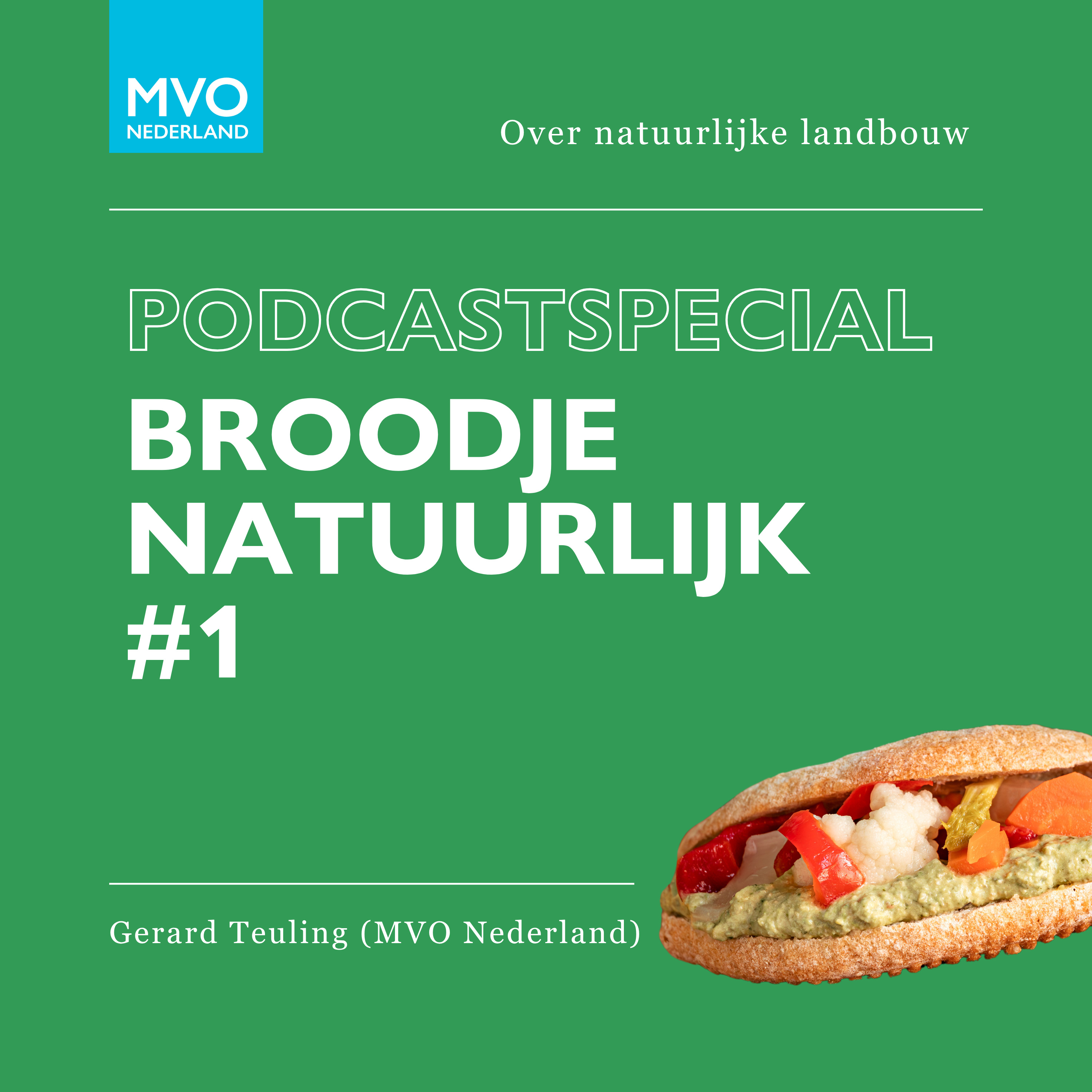 Ondernemen in de nieuwe economie
