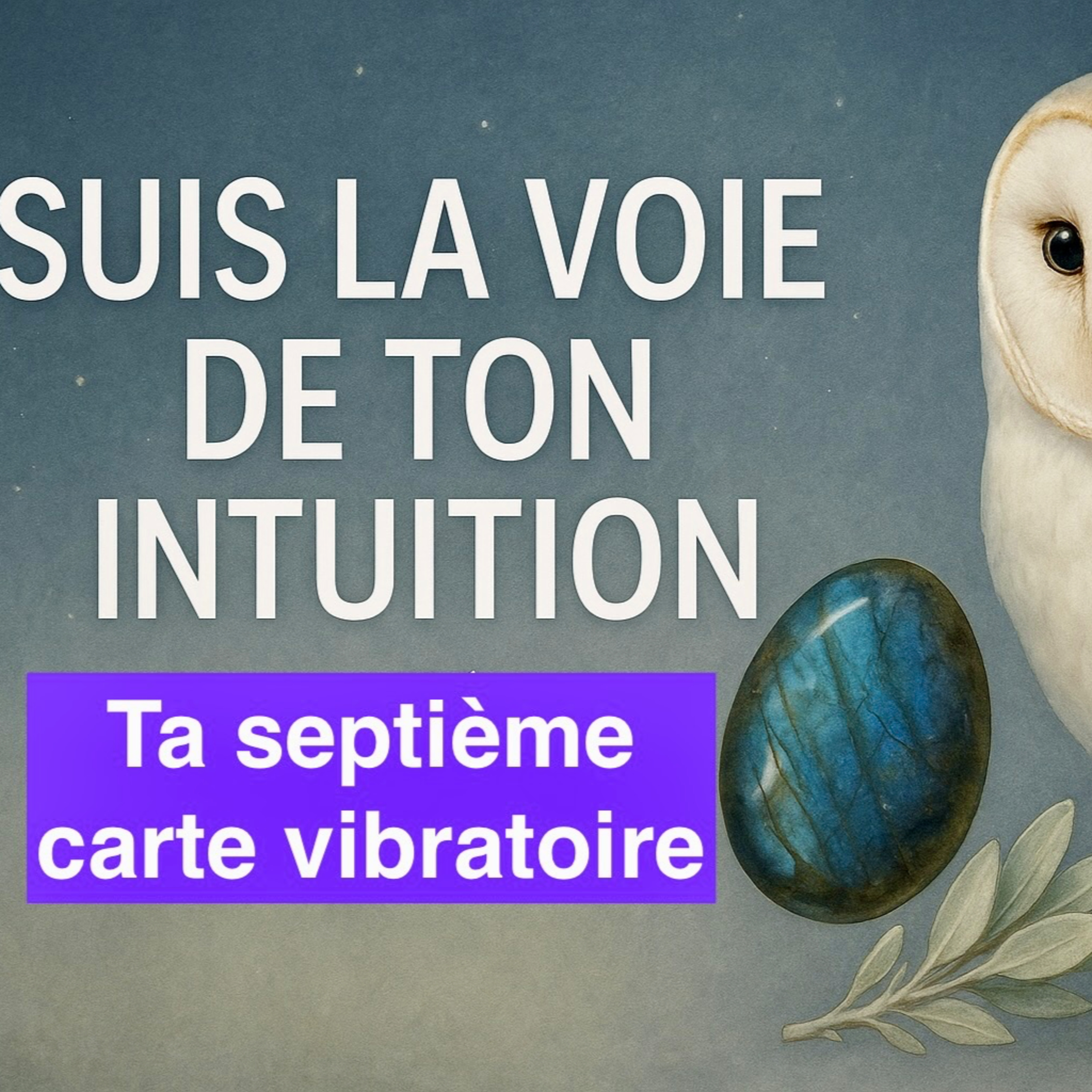 Suis la voie de ton intuition, ta septième carte vibratoire - La clé alchimique episode artwork