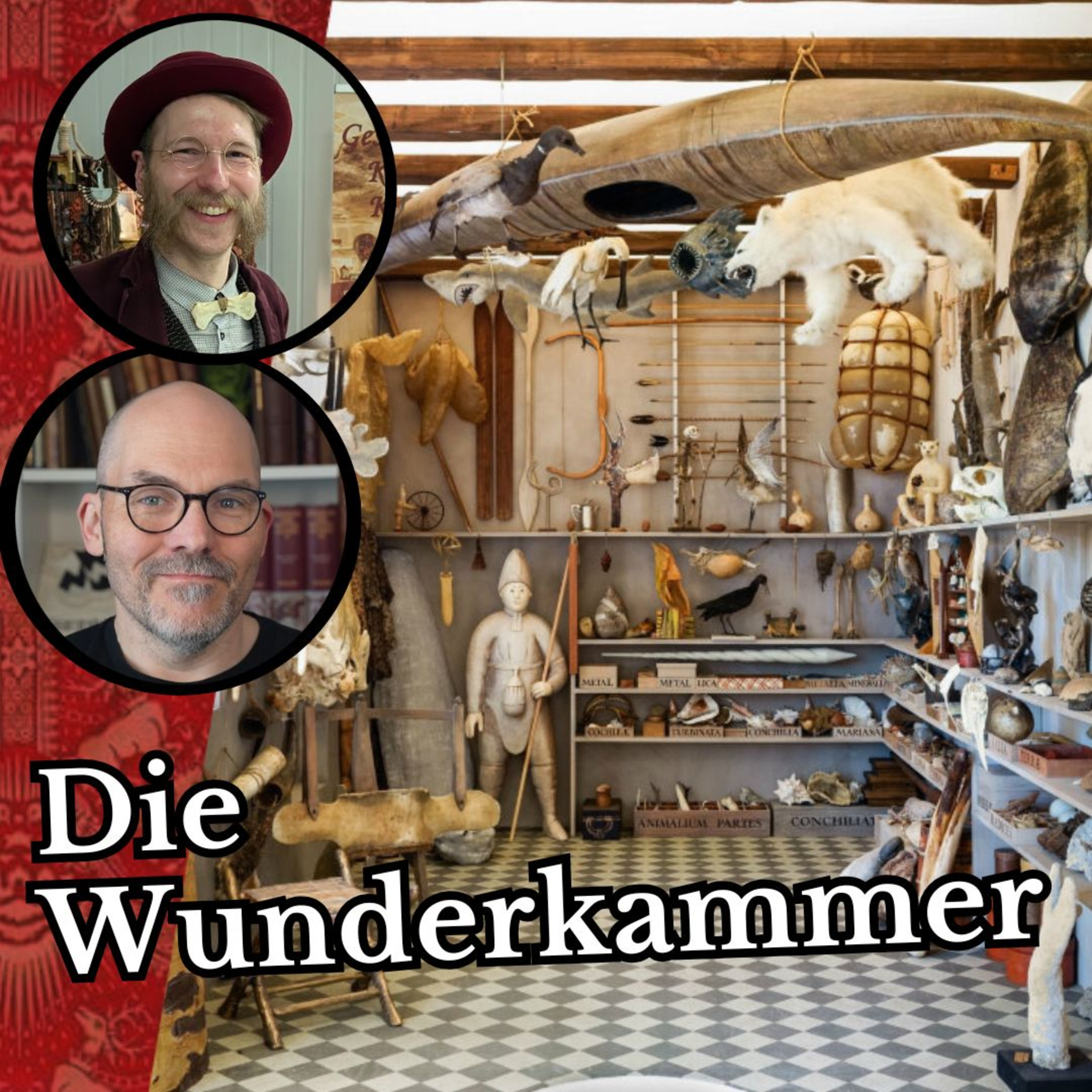 cover of episode Die Wunderkammer - von Fürstensammlungen zum Musuem