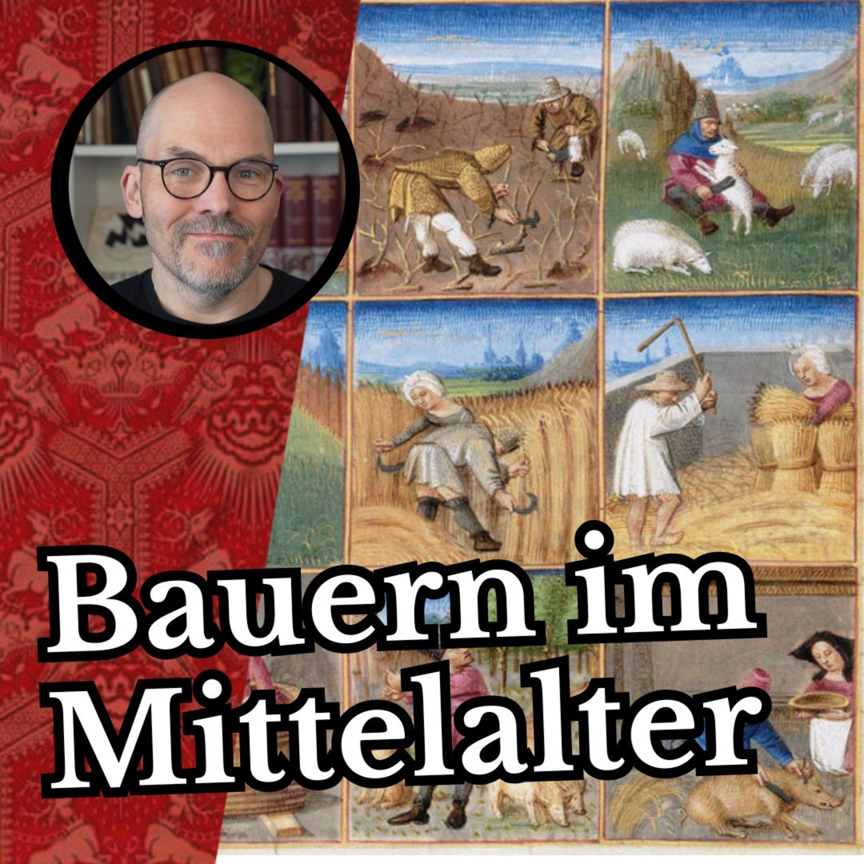 cover of episode Bauern im Mittelalter