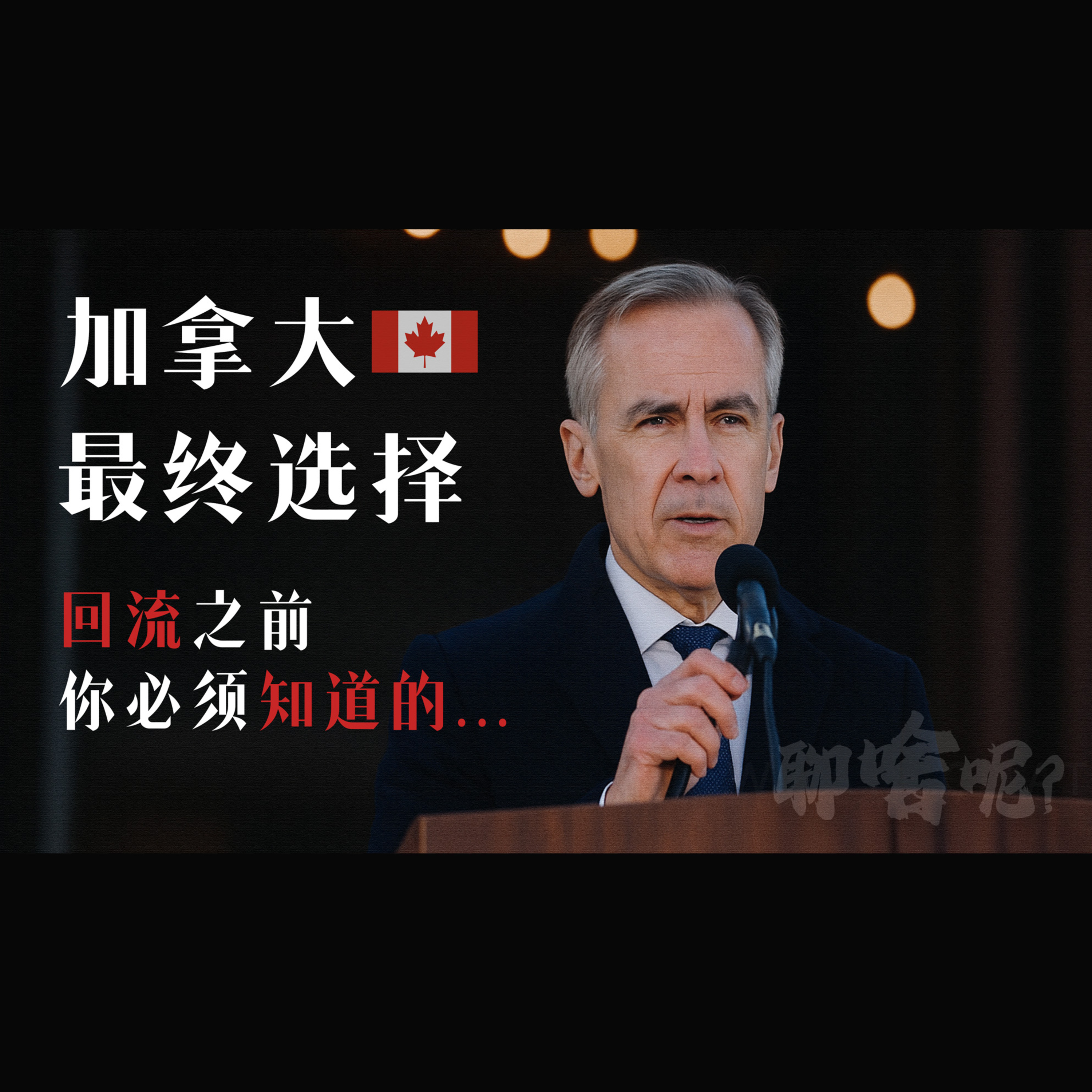 聊啥呢Vol.18 加拿大再次选择了自由党｜在离开之前你应该知道的 episode artwork