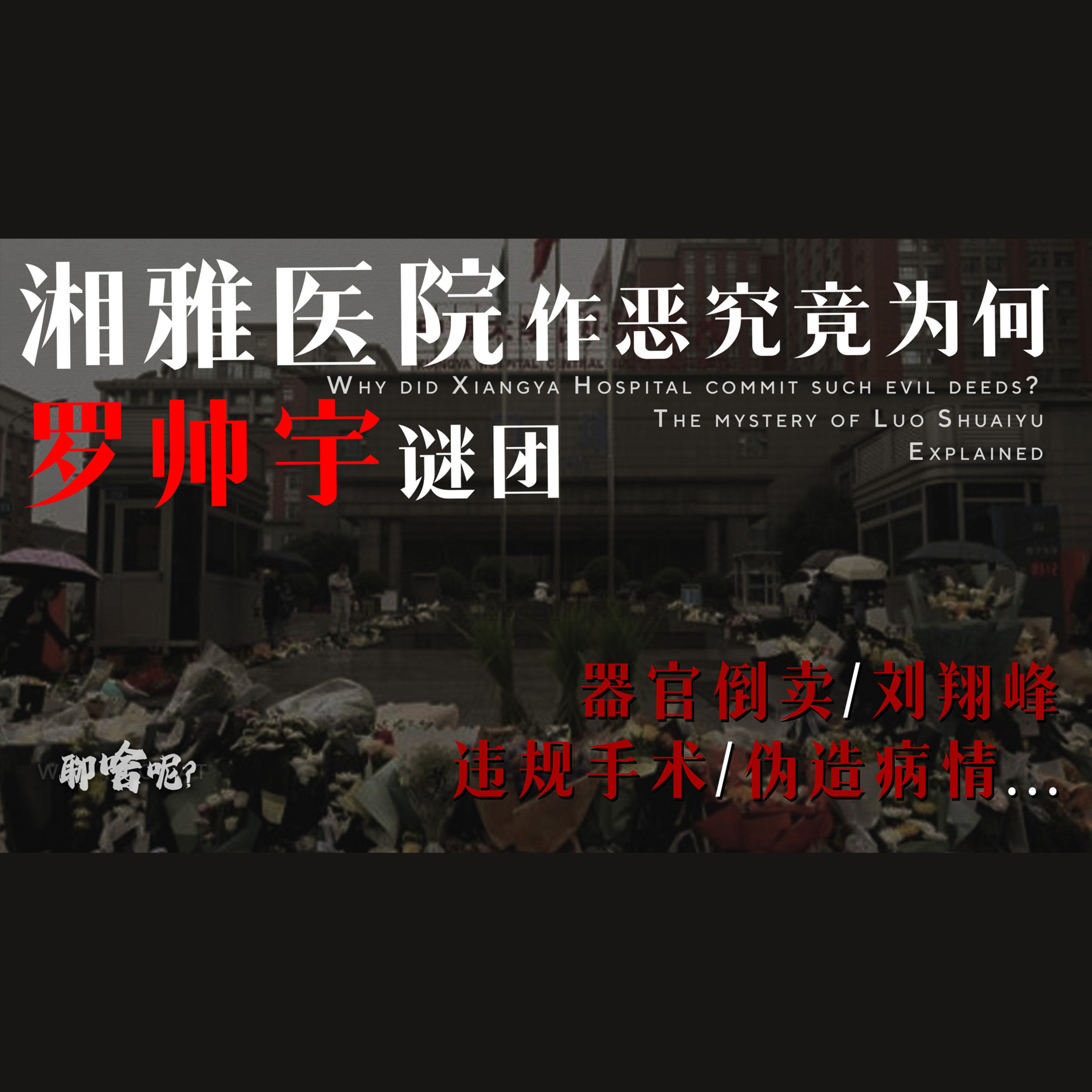聊啥呢Vol.25 湘雅医院到底隐藏了什么？罗帅宇遗言 揭露中国医疗系统的秘密 episode artwork
