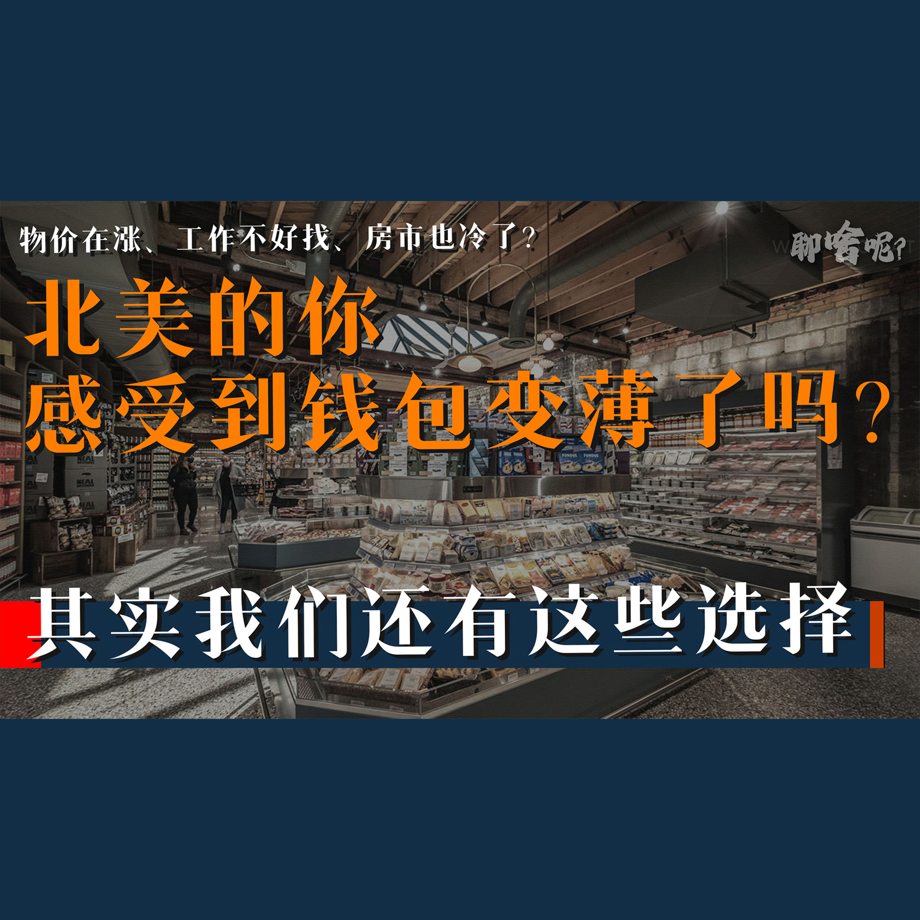 聊啥呢Vol.29 北美的你感受到钱包变薄了吗？其实我们还有这些选择 episode artwork