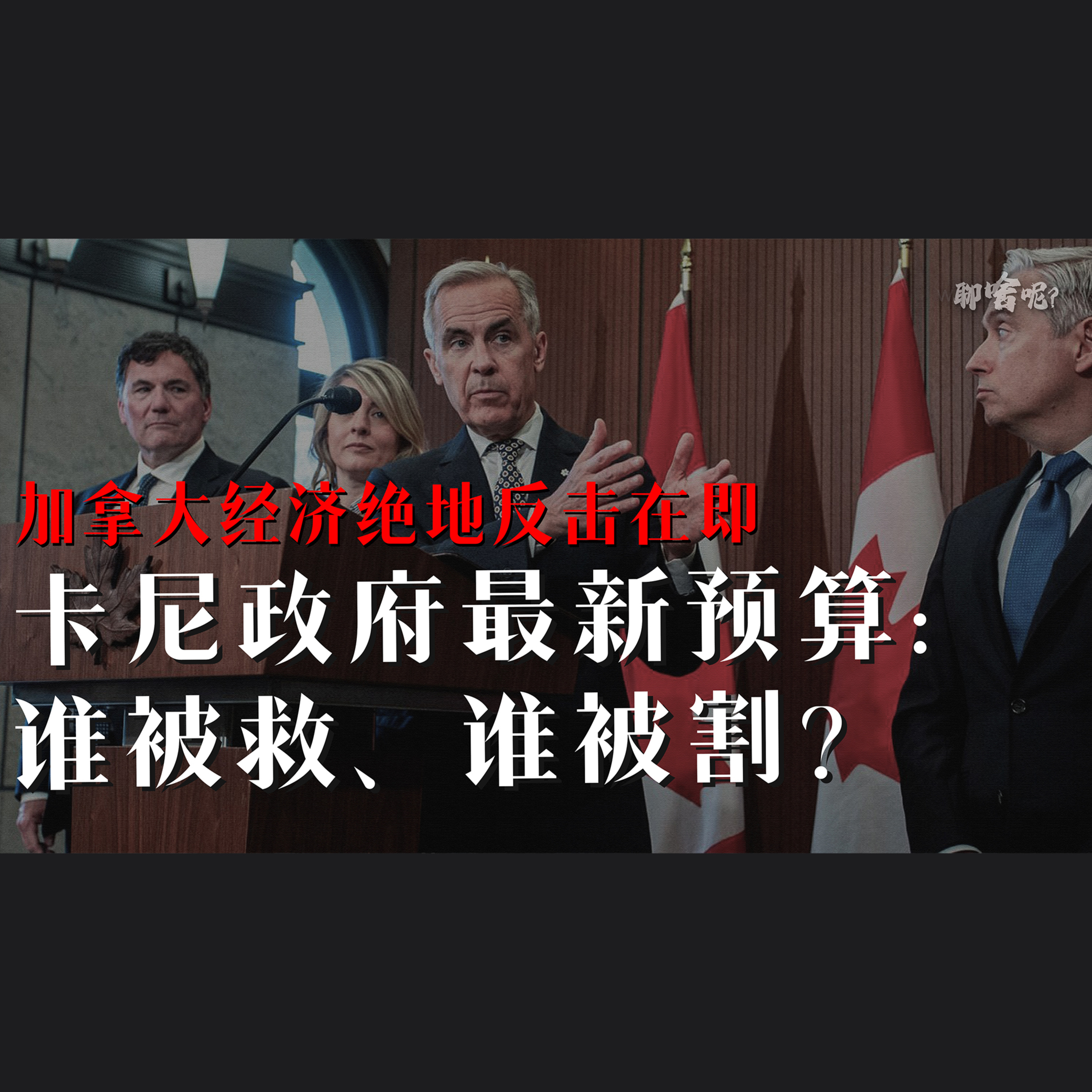 聊啥呢Vol.36 解读2025年末 卡尼政府最新预算：谁被救、谁被割？ episode artwork
