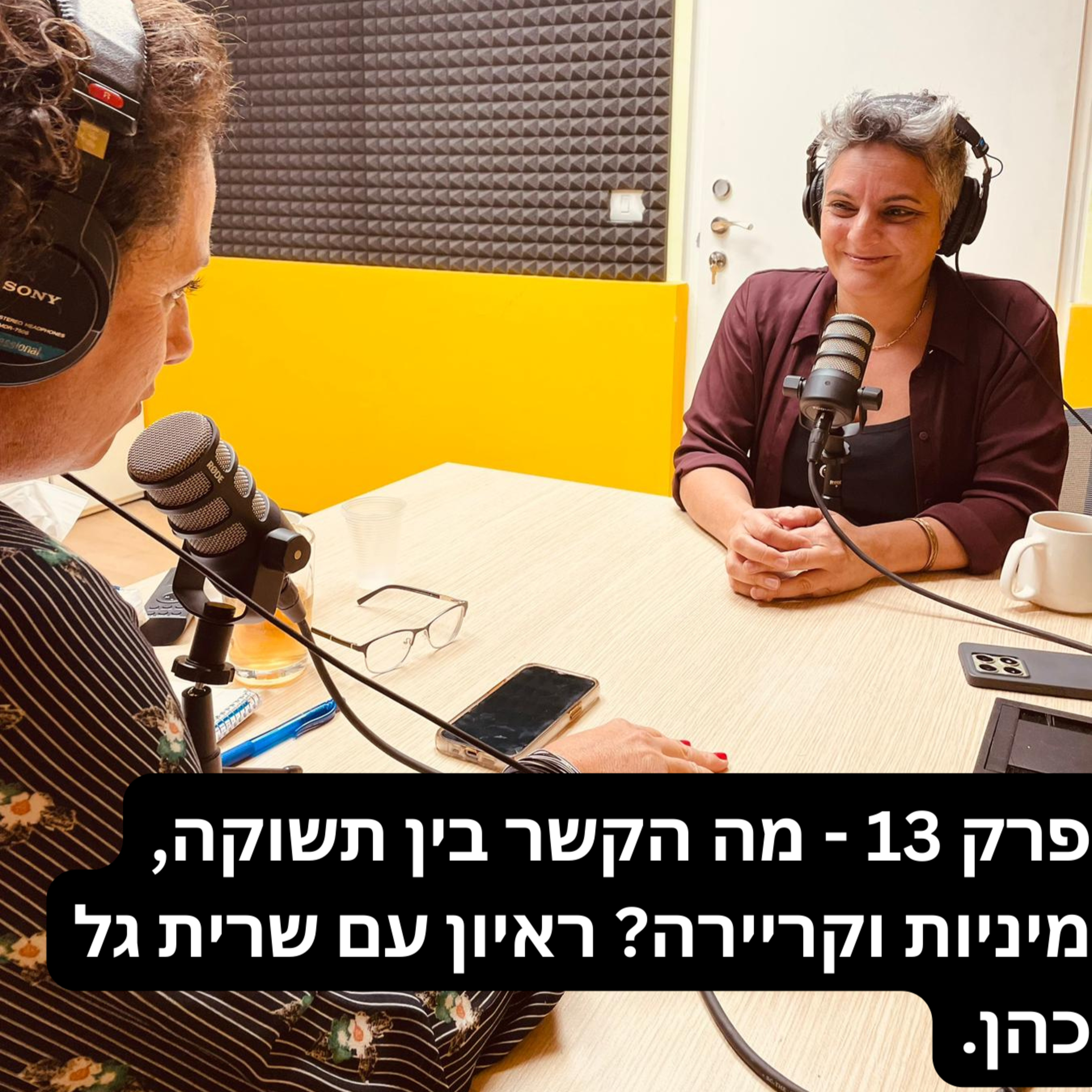 פרק 13 - מה הקשר בין תשוקה, מיניות וקריירה? שיחה עם שרית גל כהן episode artwork