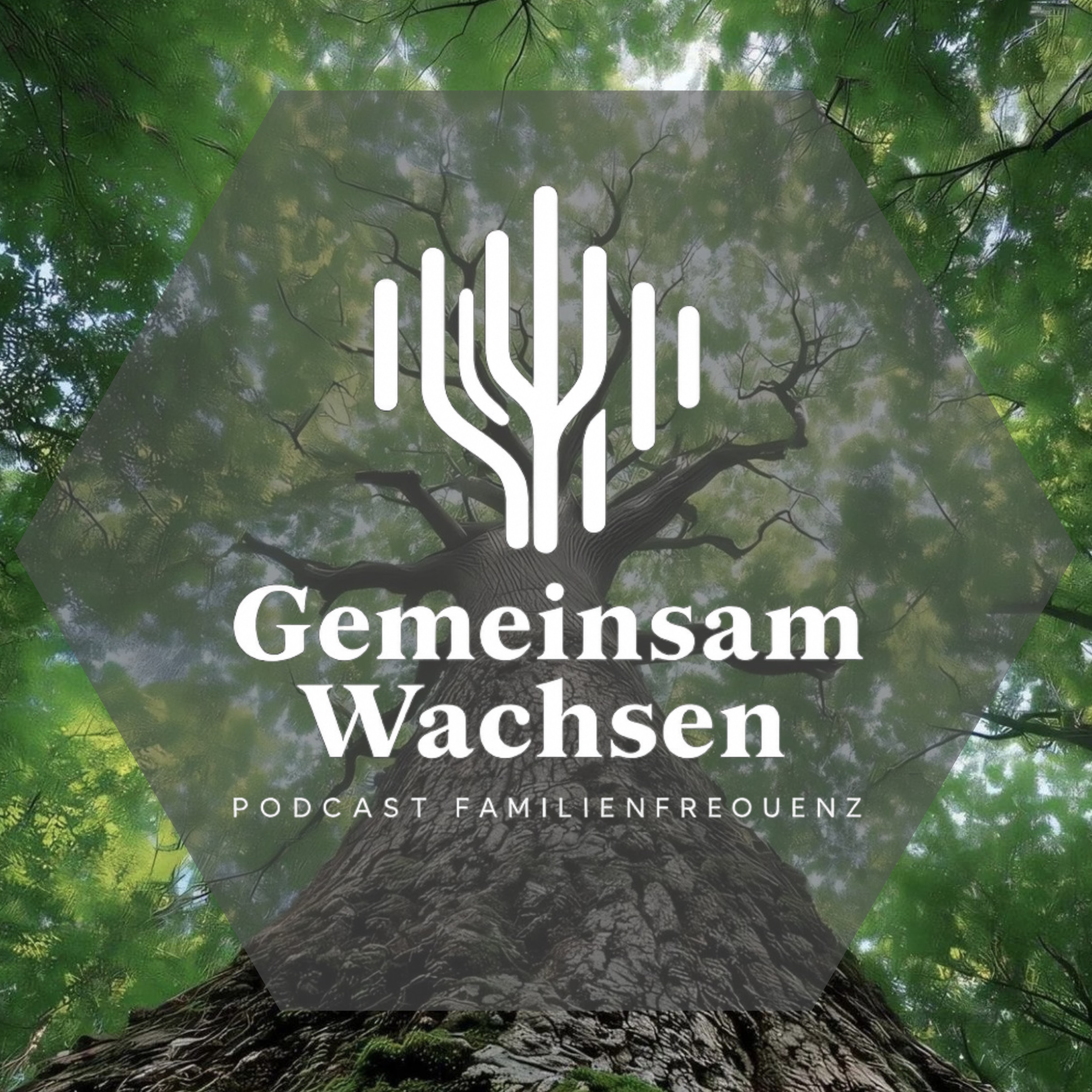 Podcast FamilienFrequenz / Ev. Kita Arche Noah