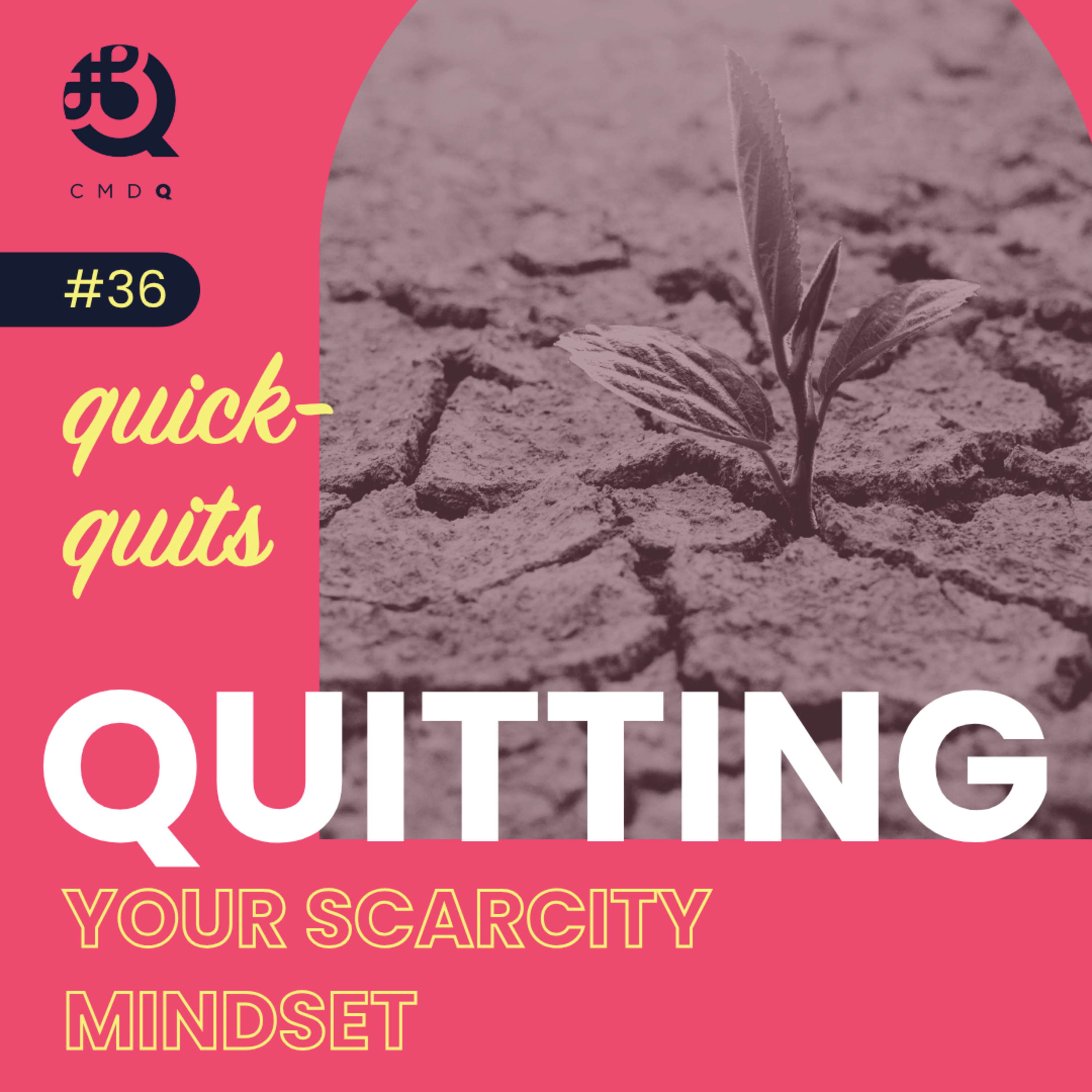 #36 Quitting Your Scarcity Mindset