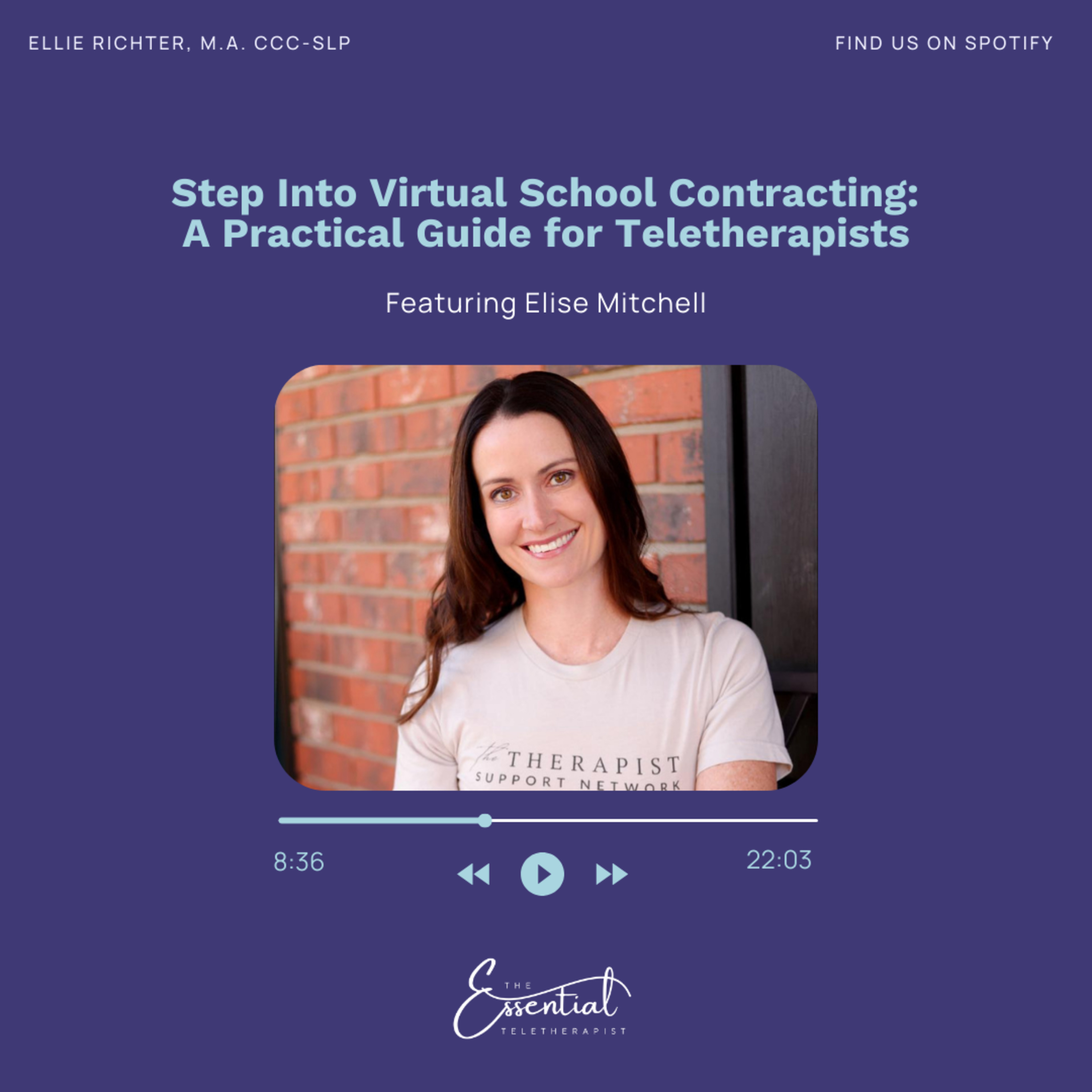 The Essential Teletherapist