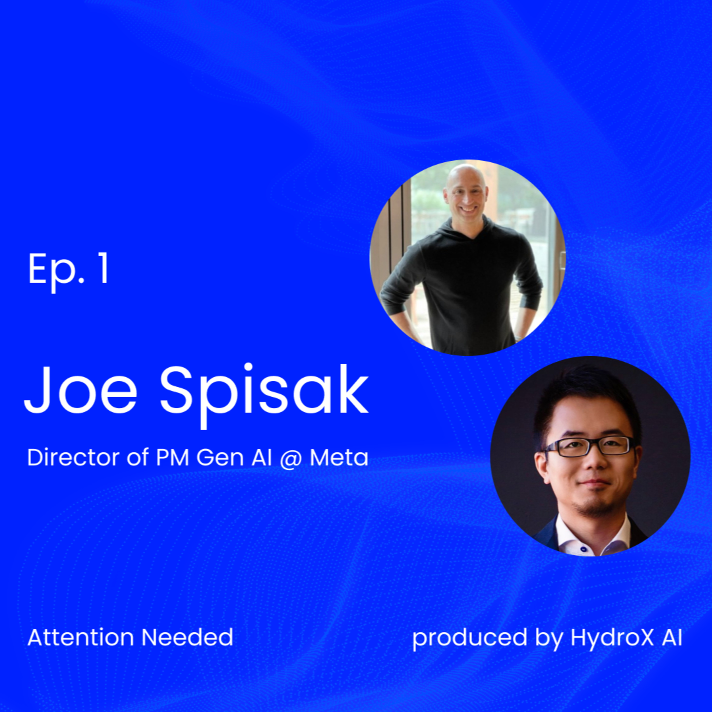 What it Means to Open-Source Frontier Foundation Models with Meta's Joe Spisak episode artwork