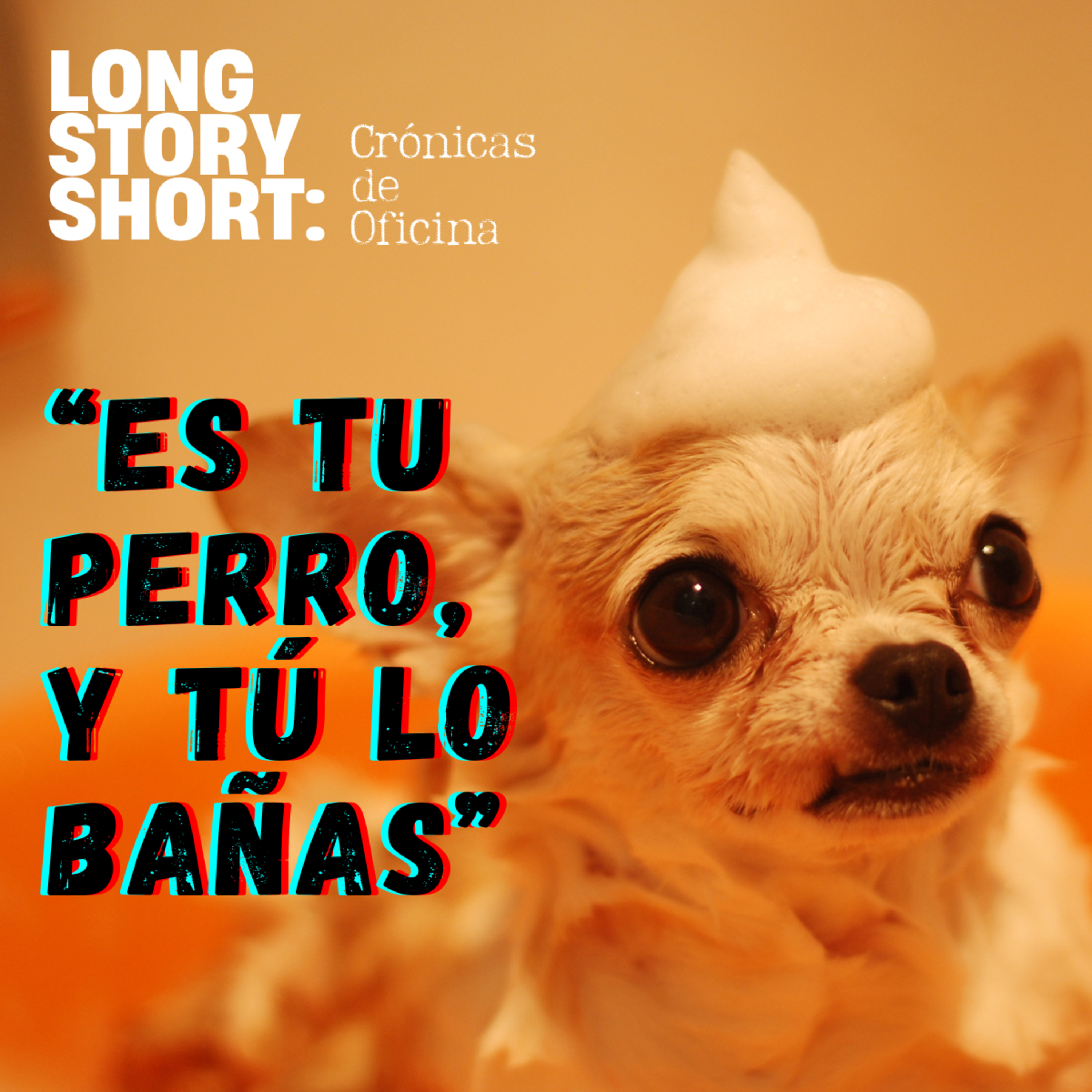 Es tu perro, y tú lo bañas episode artwork