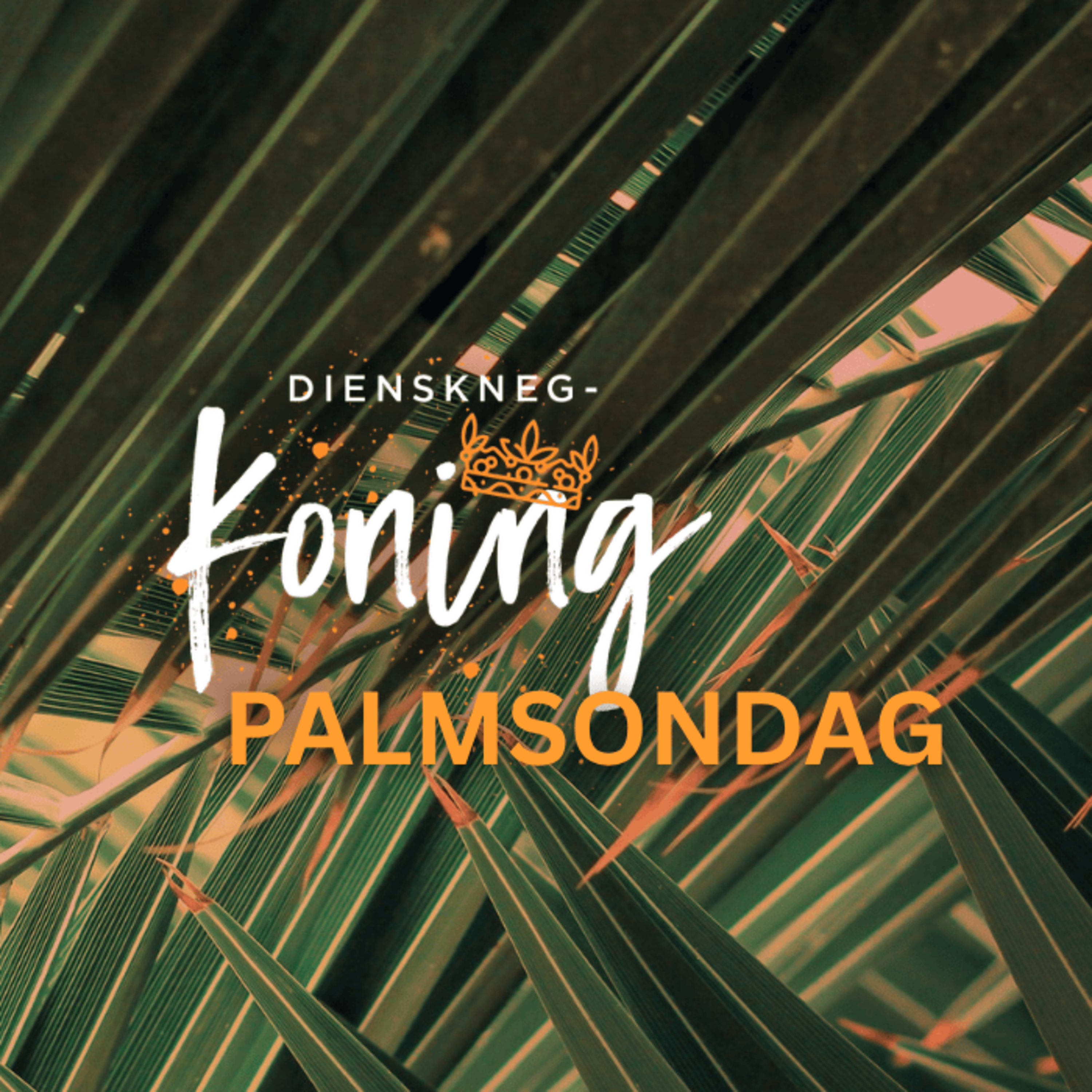 PALMSONDAG // Christo Fourie (AFR) episode artwork