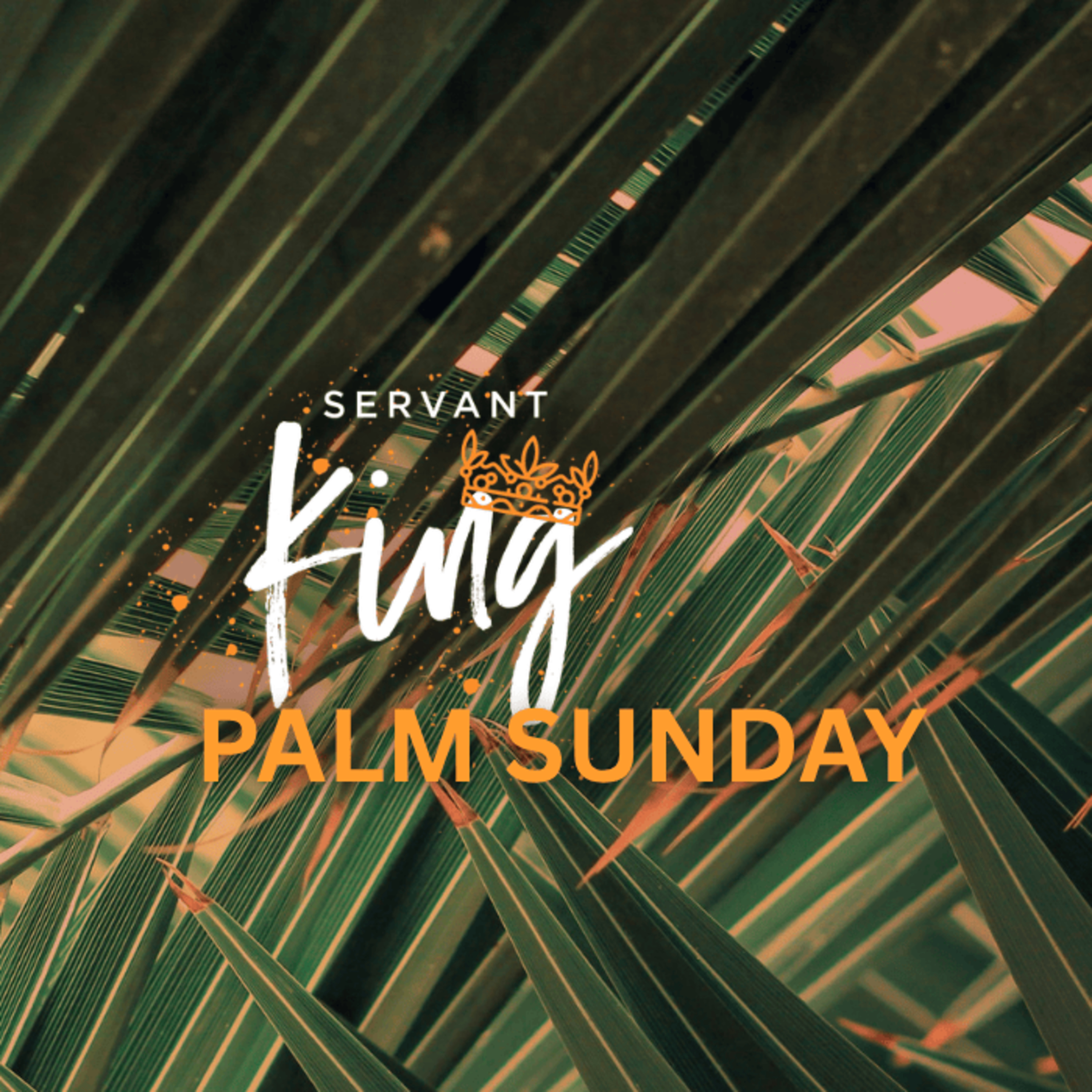 Palm Sunday // Christo Fourie (ENG AM) episode artwork