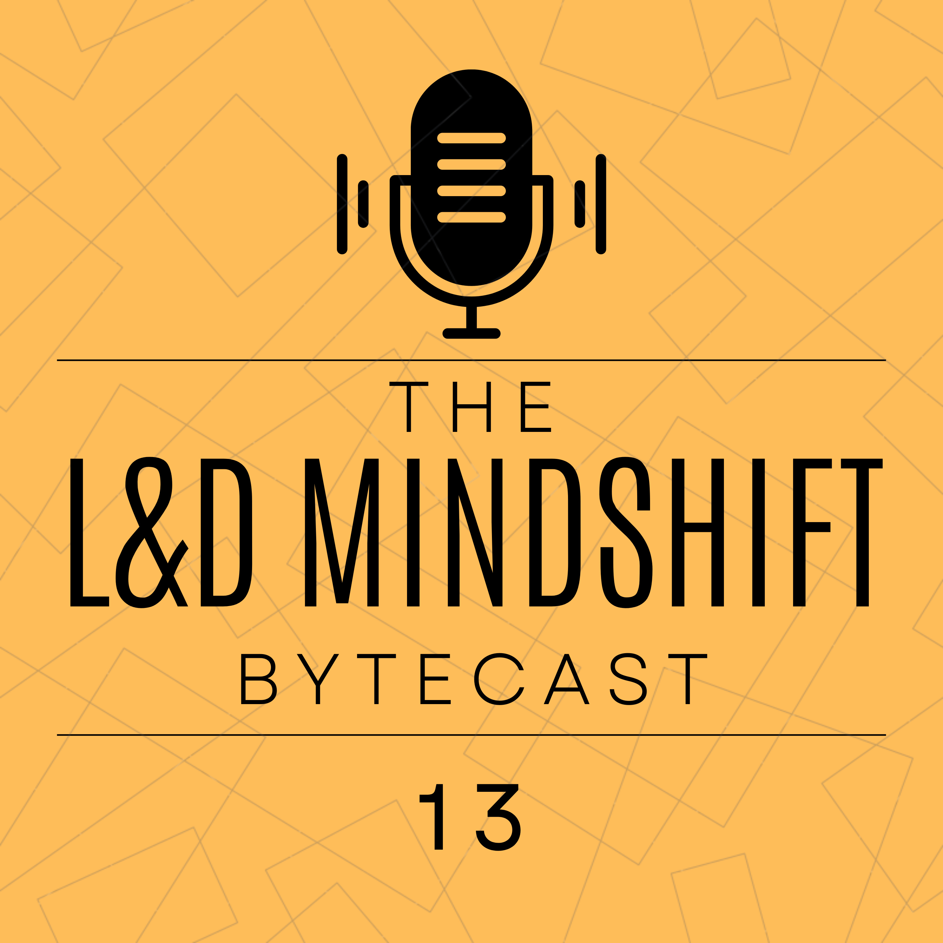 Episode 13: From Know-It-All to Ask-It-All: L&D's Evolution in the AI Era  episode artwork