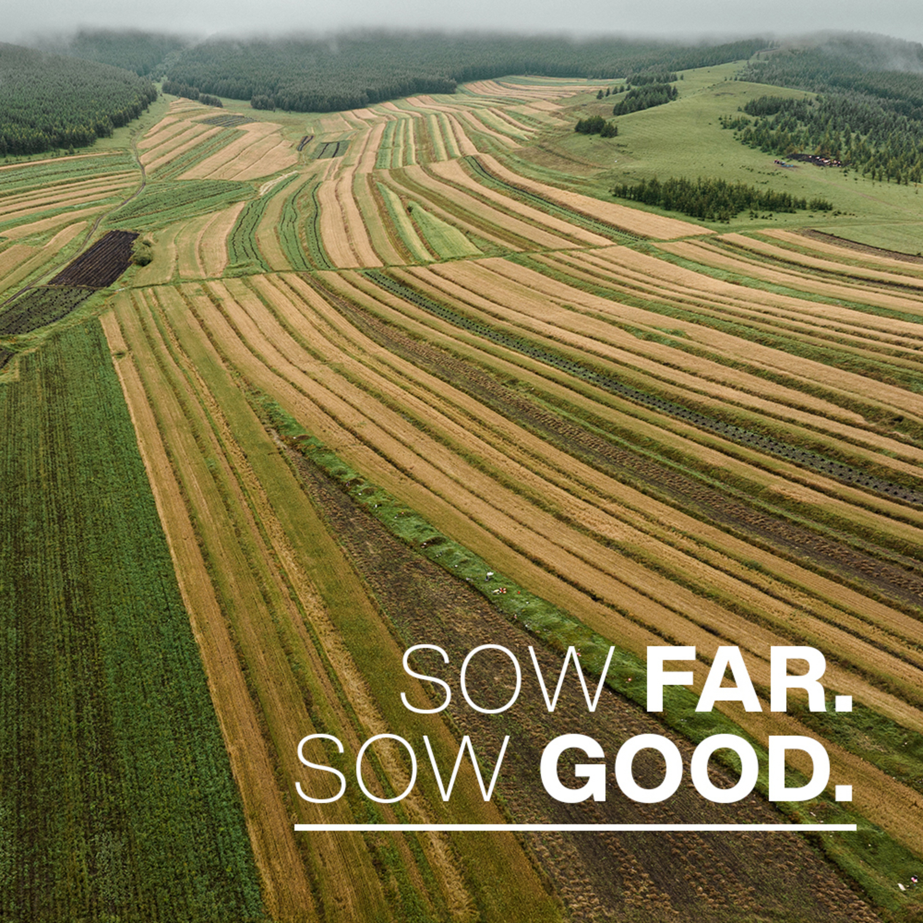 Sow Far, So Good | Pastor Joshua Harris @ Kallang episode artwork
