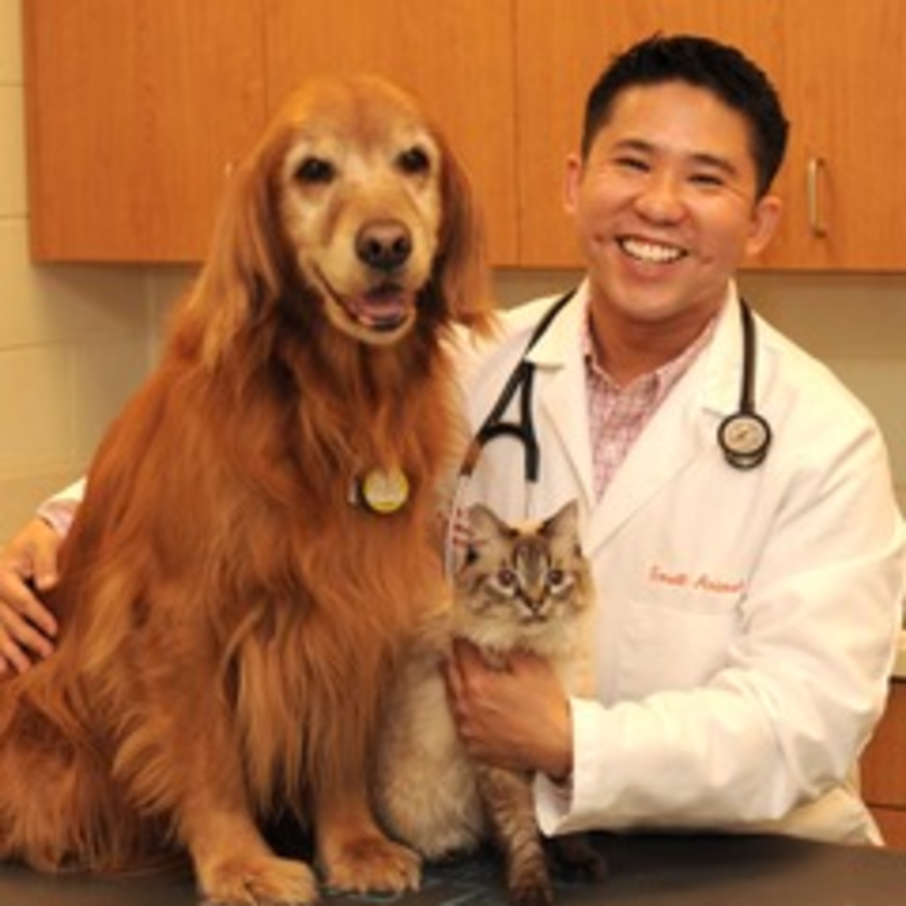 Love, Dog: The Podcast