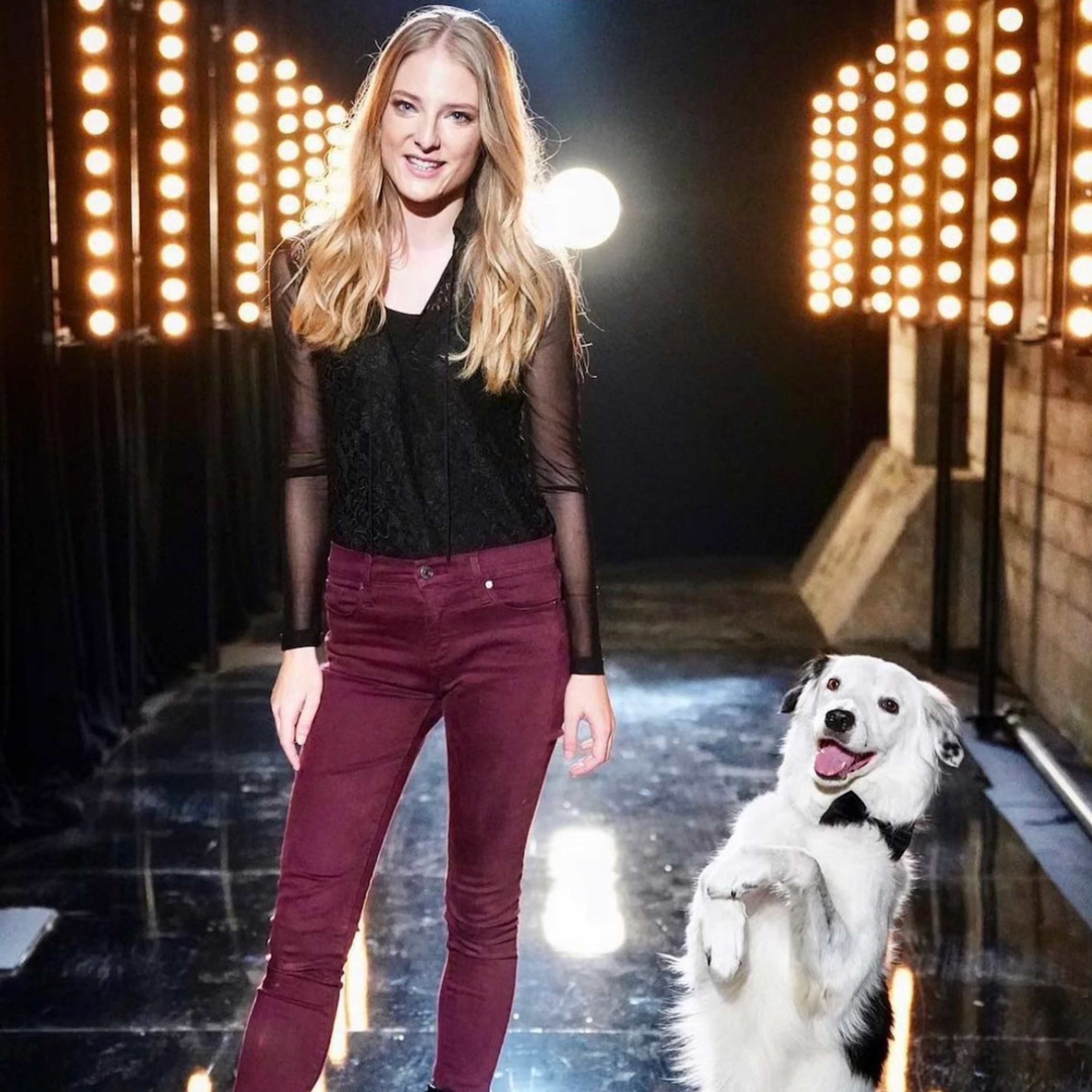 Love, Dog: The Podcast