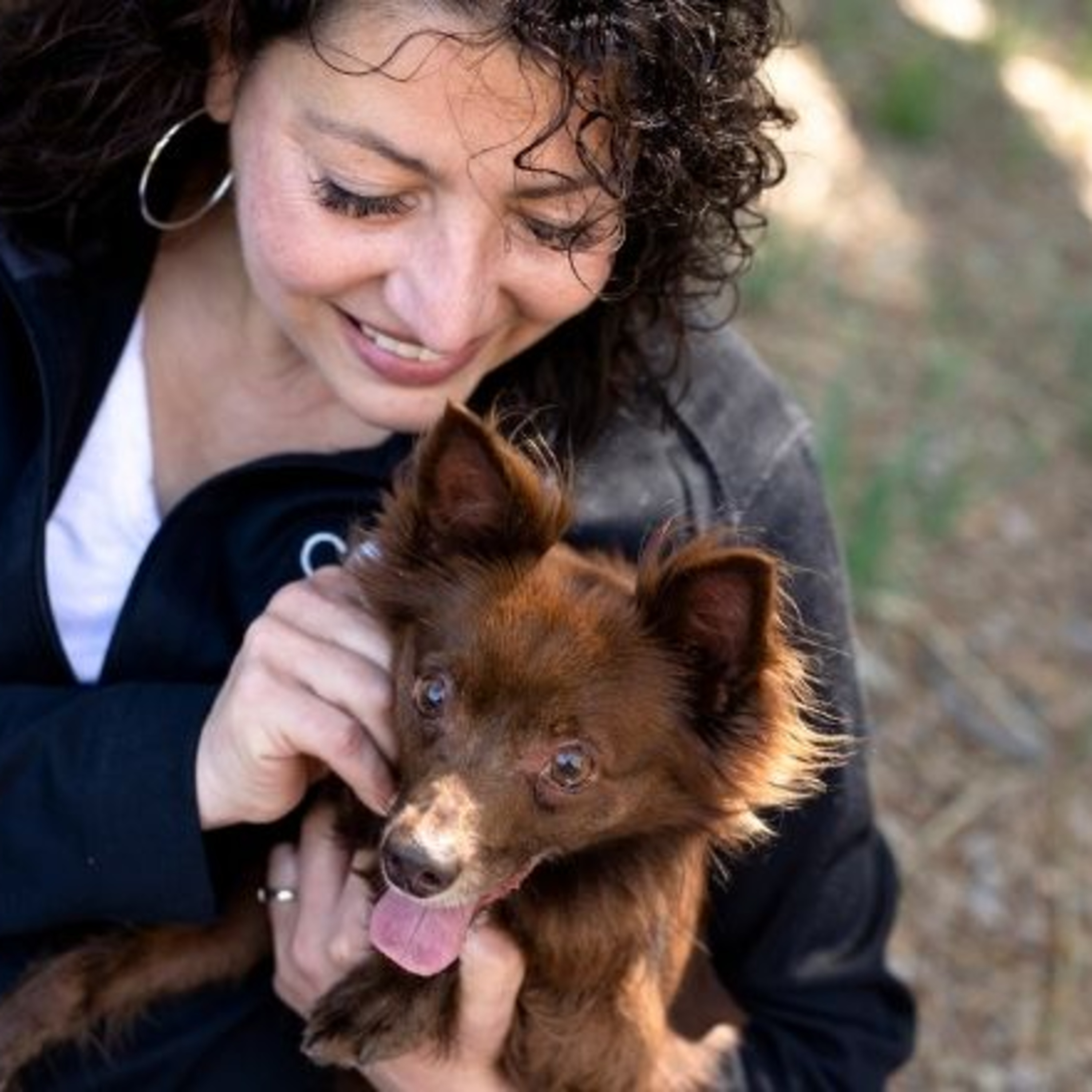 Love, Dog: The Podcast