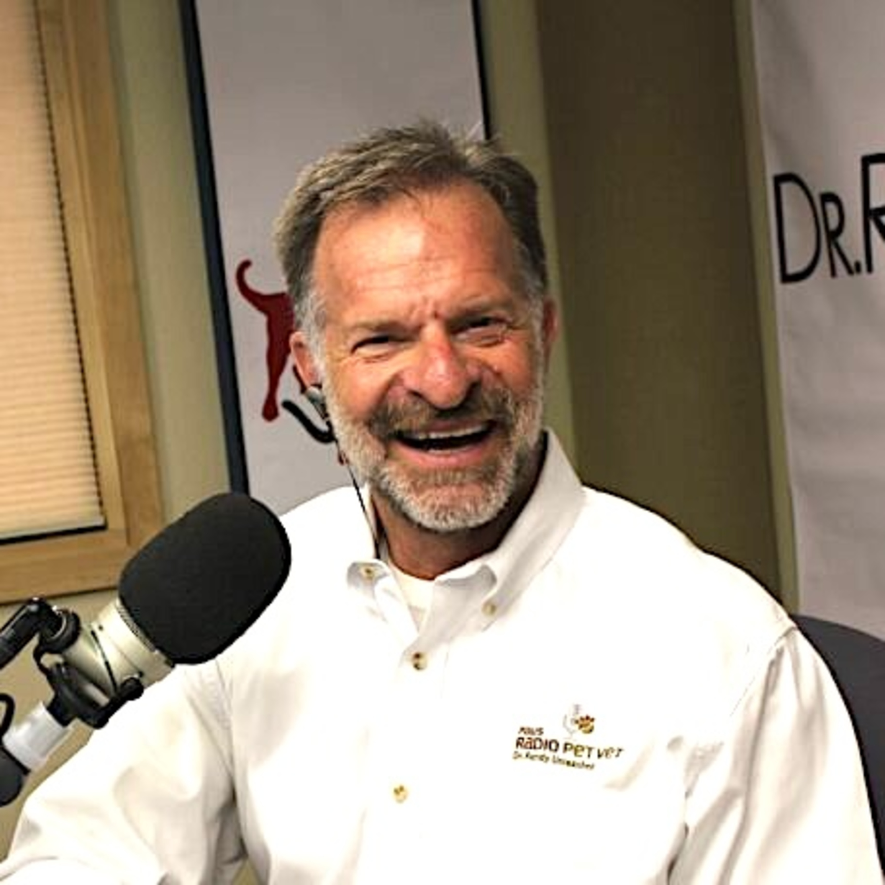 Love, Dog: The Podcast