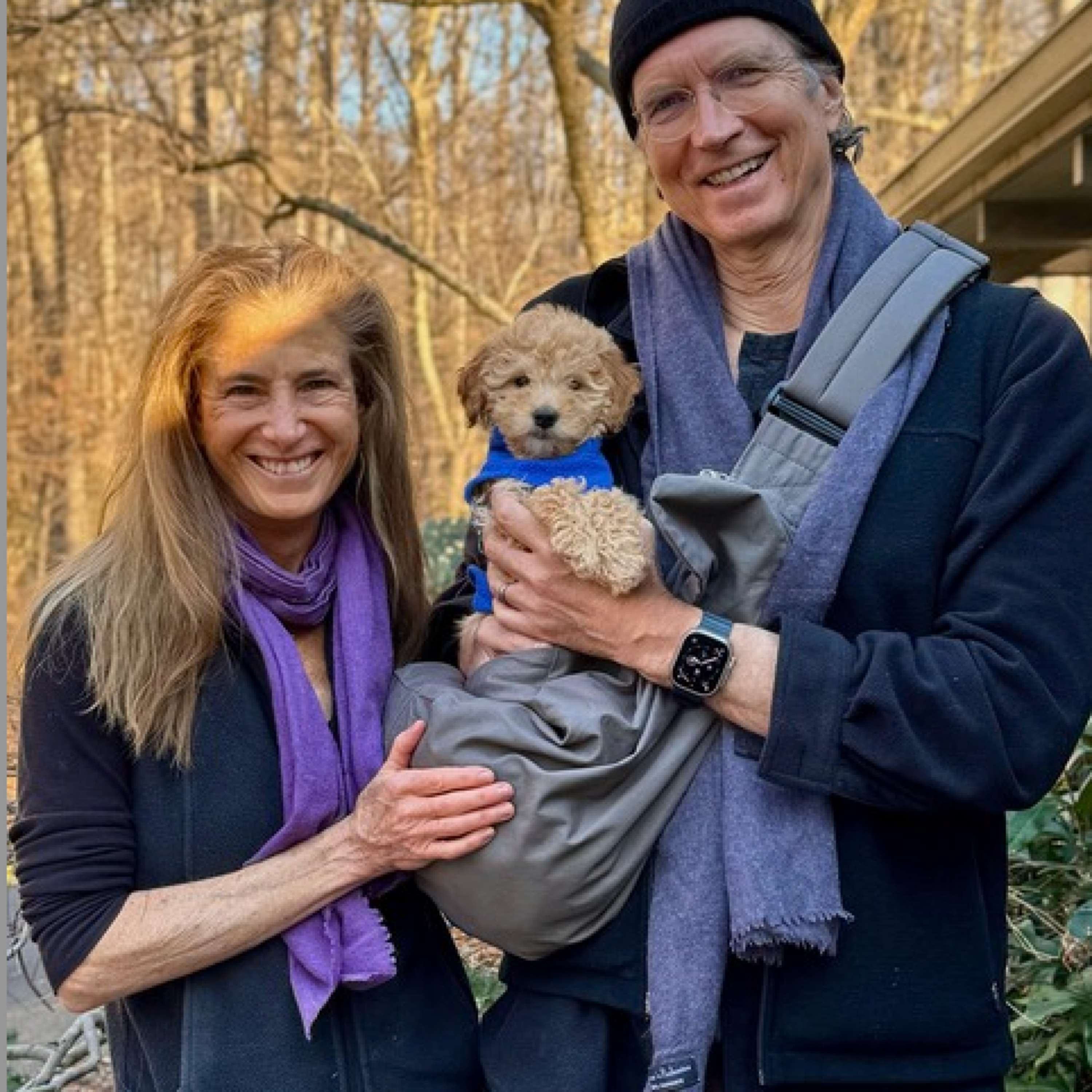 Love, Dog: The Podcast