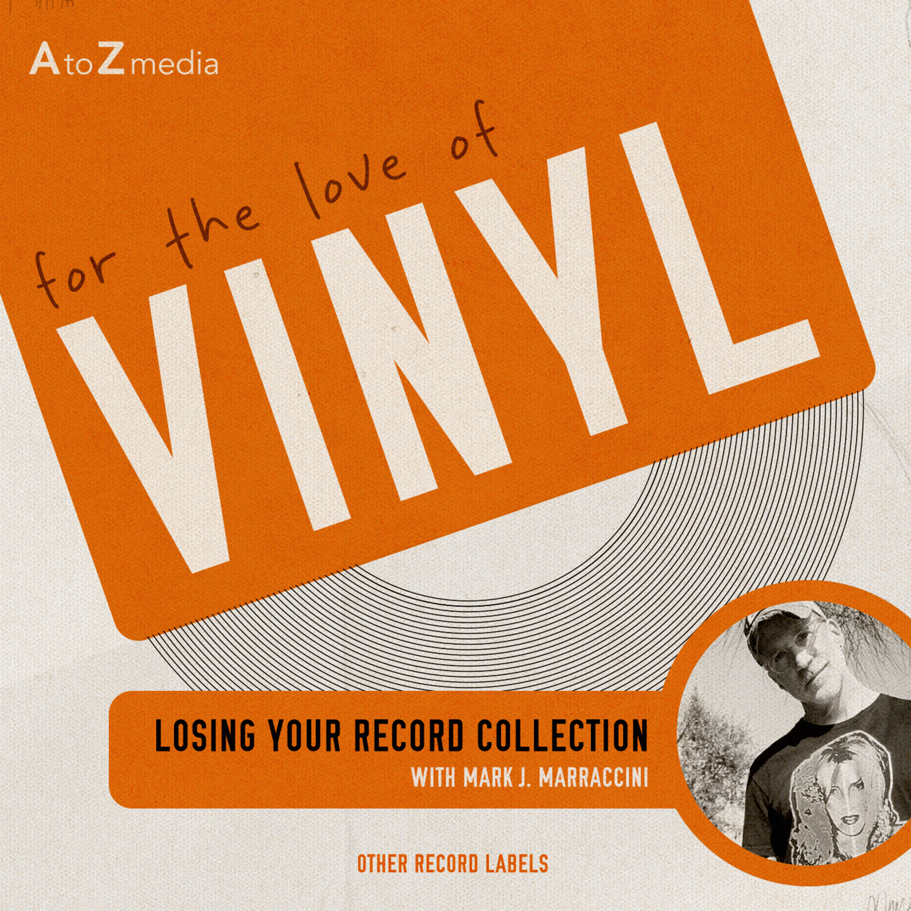 Losing Your Record Collection episode artwork
